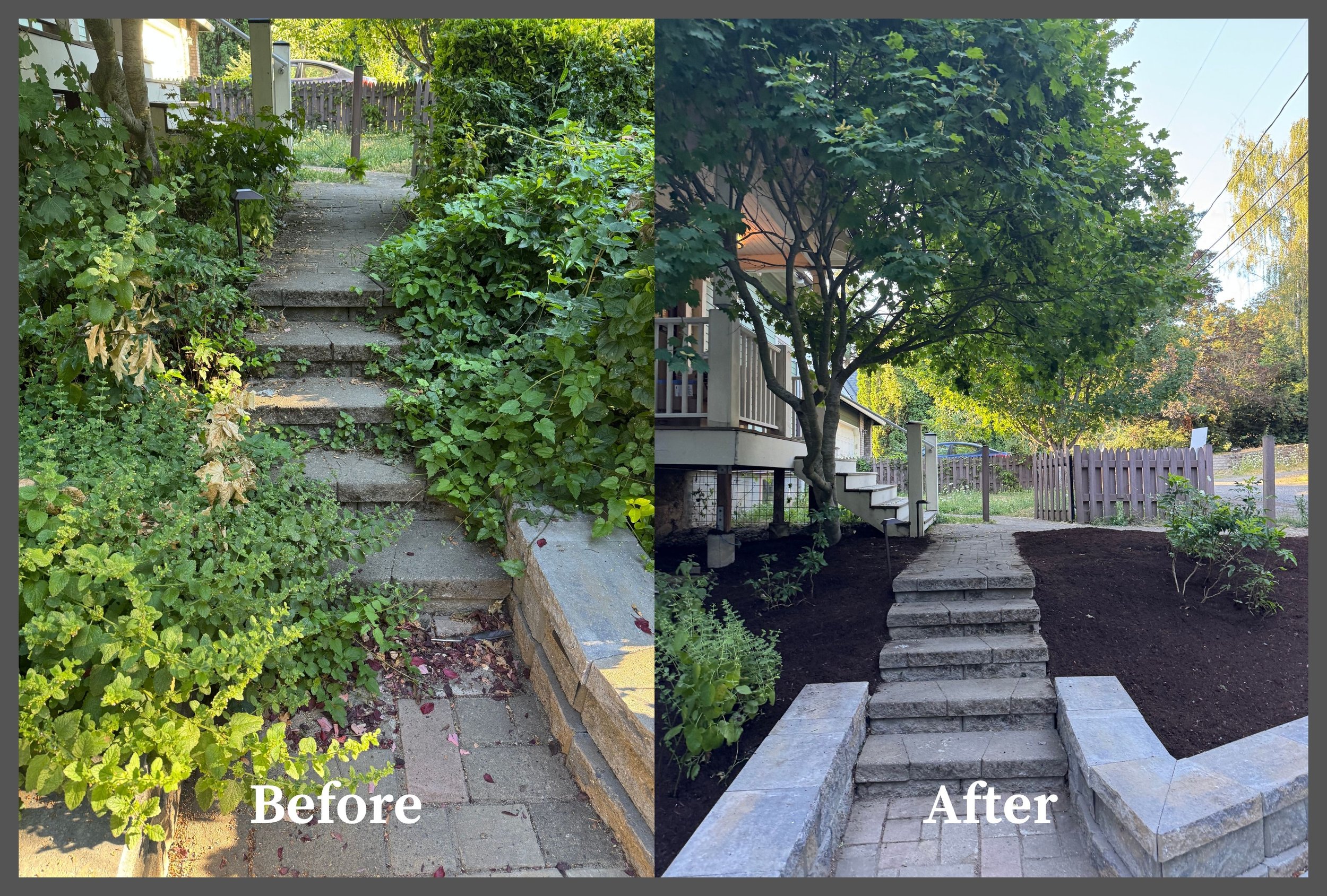 Side-by-side comparison of a garden pathway and stairs before and after landscaping; overgrown greenery and uneven stone steps on the left, clean and structured stone stairs with trimmed plants on the right.