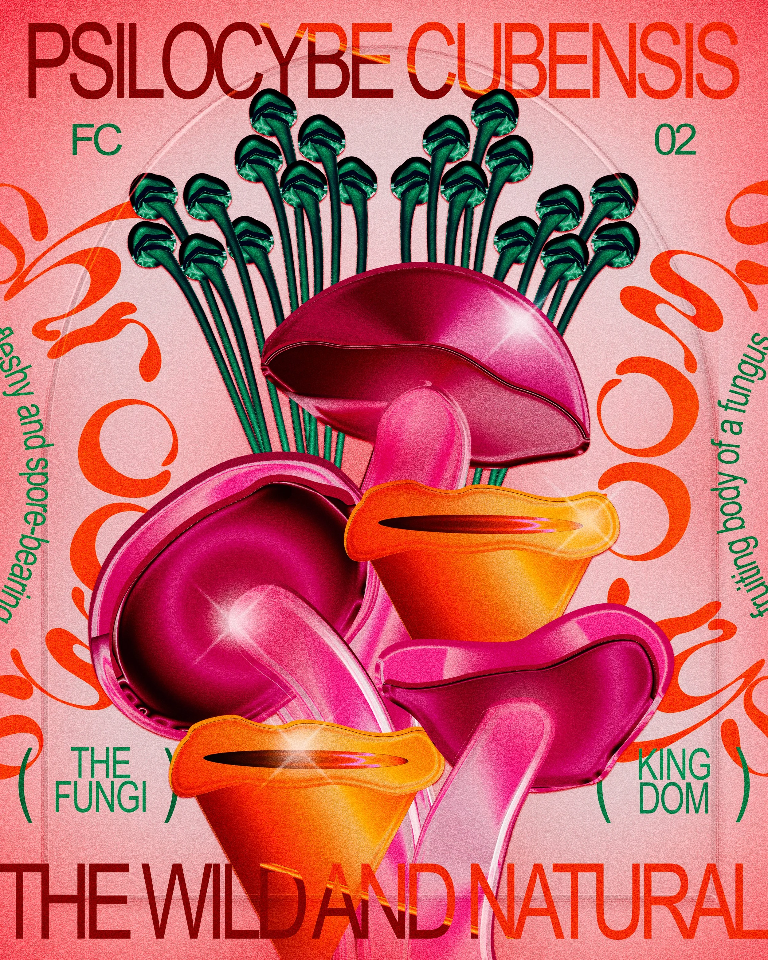 A colorful illustration of fungi with pink, orange, and green shades, featuring a pink and orange mushroom with textured caps, surrounded by green stems and detailed gills, with text about fungi and their natural, wild properties.