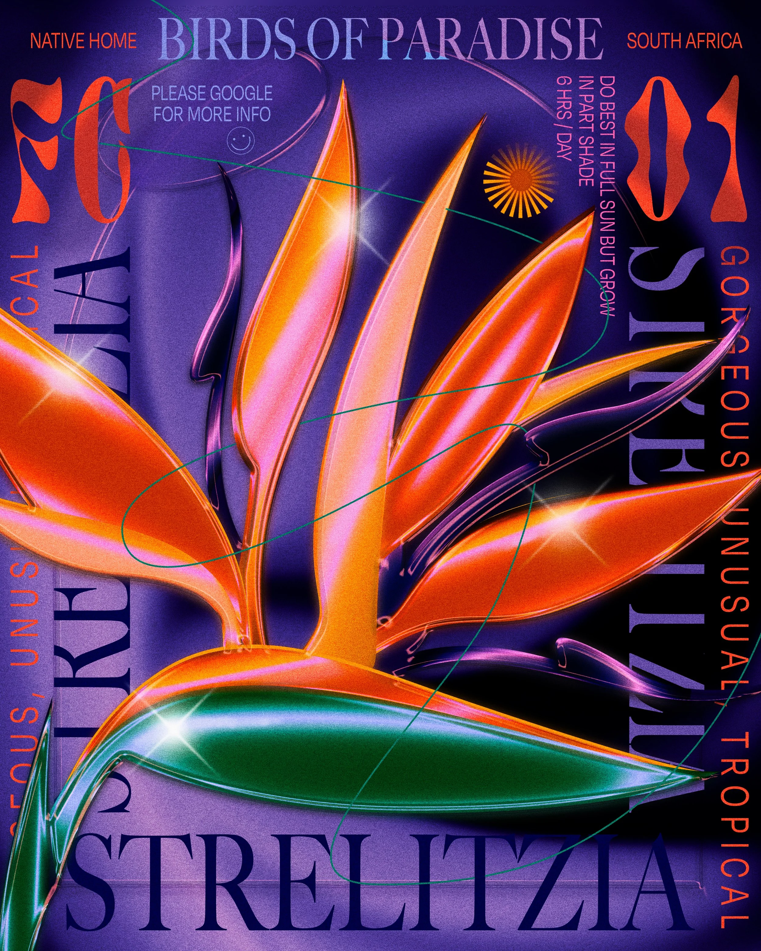 Colorful neon-style illustration of a bird of paradise flower with orange, purple, and green petals on a purple background, surrounded by text about the bird of paradise in South Africa.