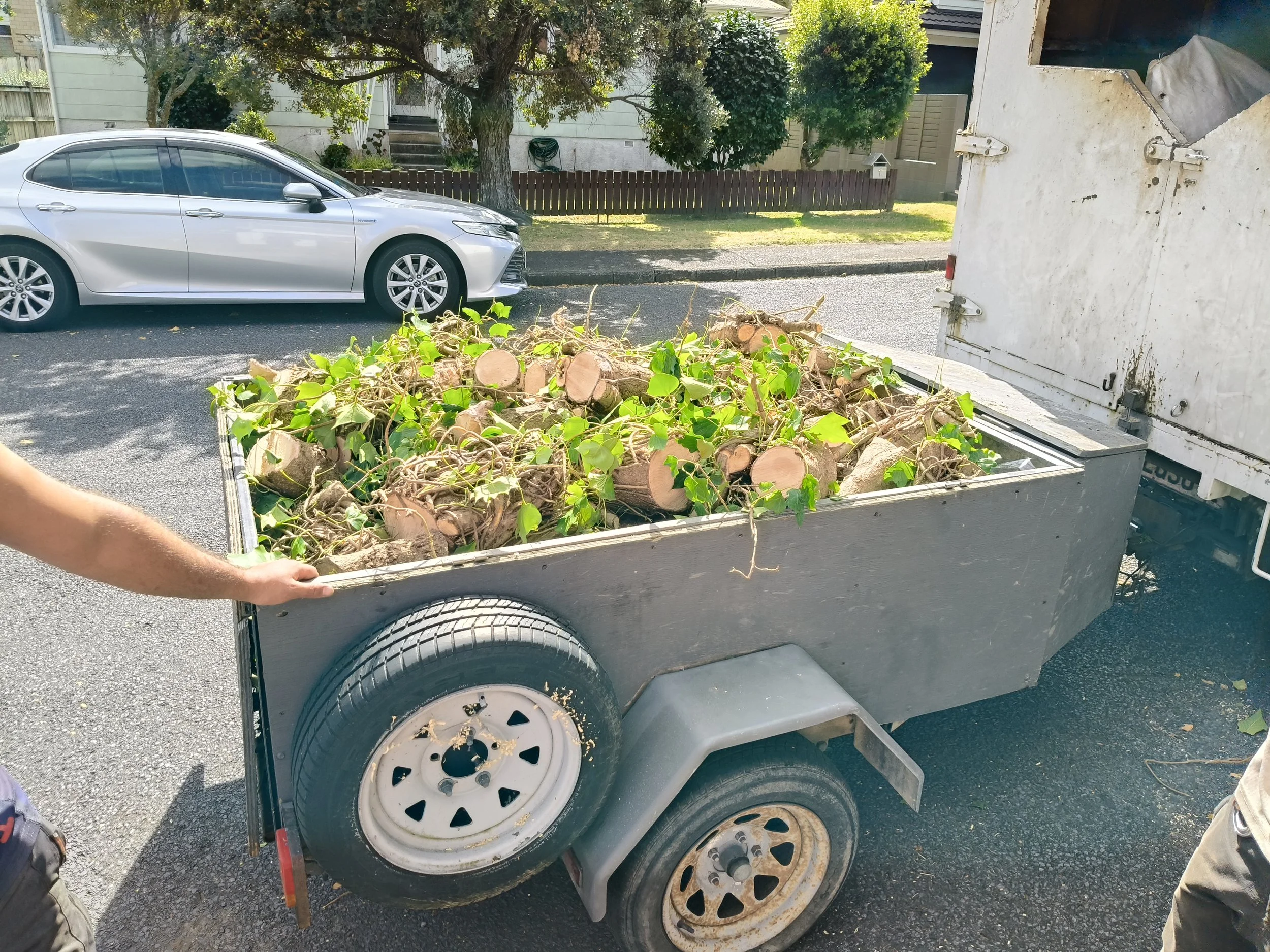 A trailer filled with cut tree logs and green ivy leaves, parked on a residential street, with a silver car and houses in the background.