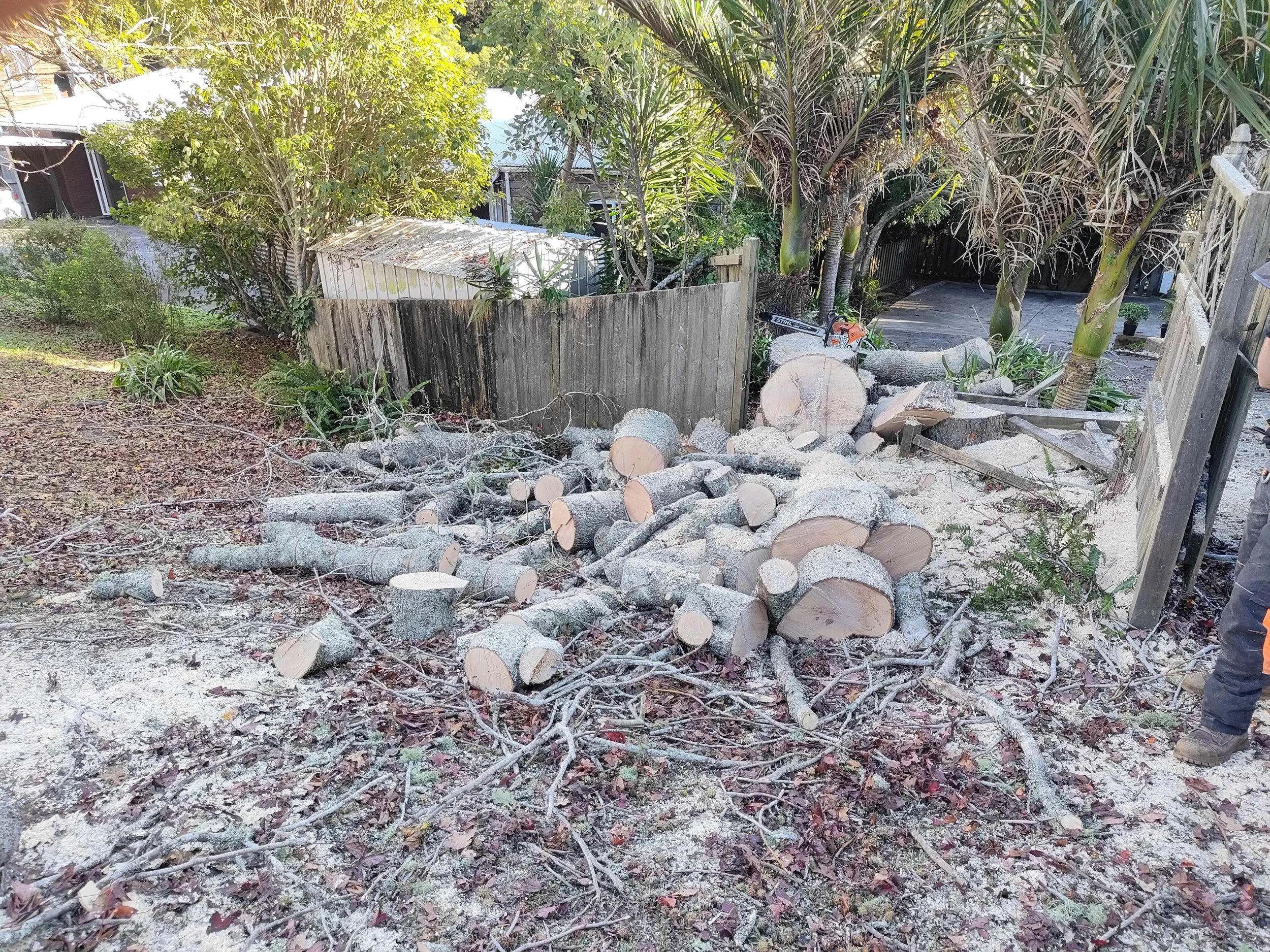 Piles of cut logs and branches in a backyard with trees, plants, and a wood fence.
