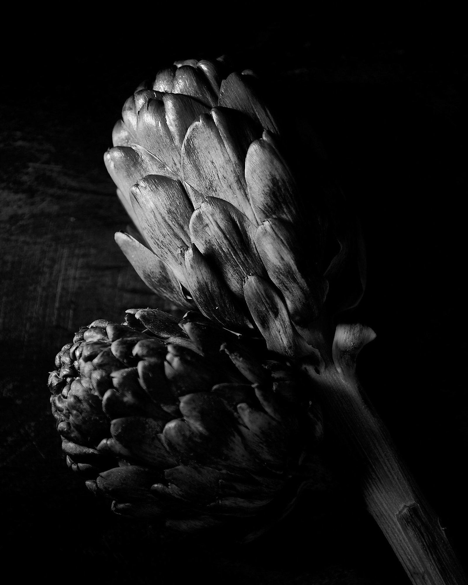 Black and white, flatly close-up photo of an artichoke. Photo taken by Mah Vafaei based in Sydney Australia.