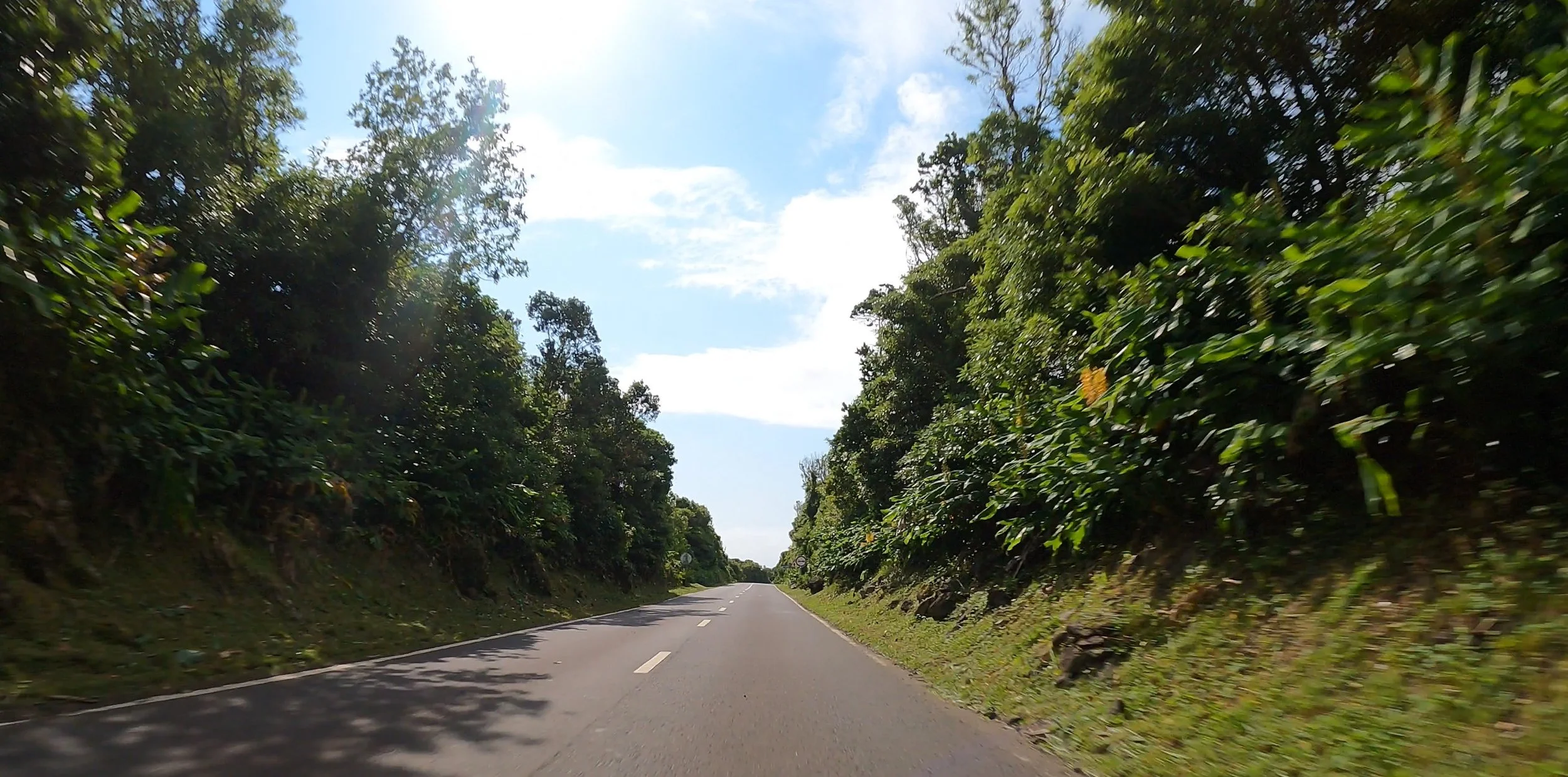 Captura de ecrã 2022-11-30 165215.jpg