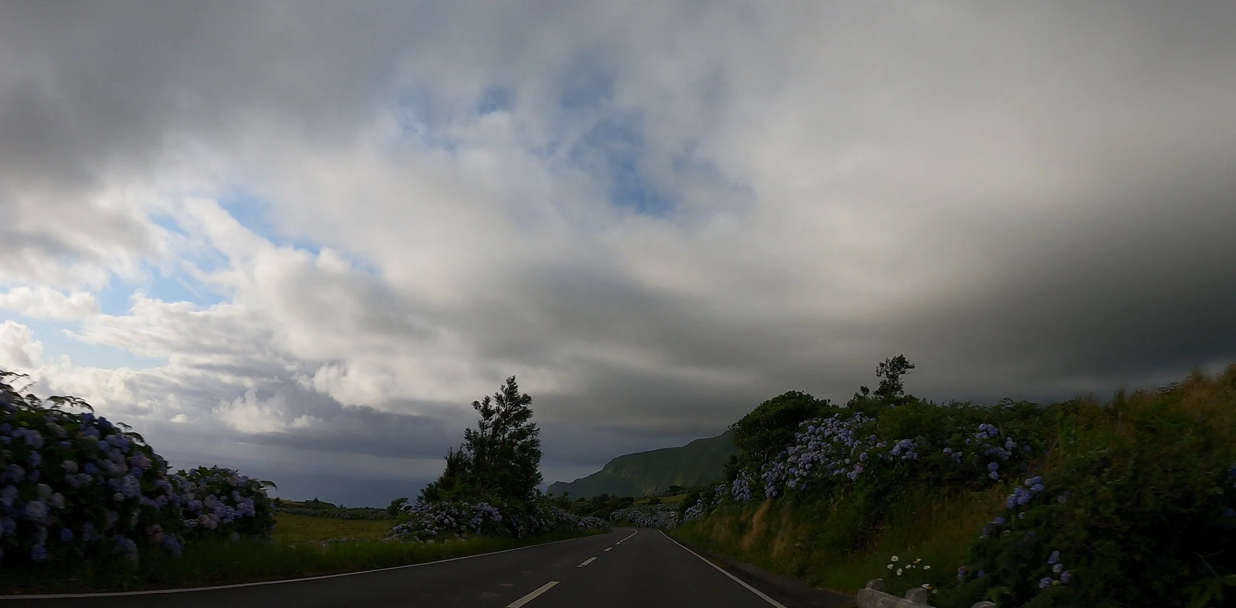 Captura de ecrã 2022-11-30 165438.jpg