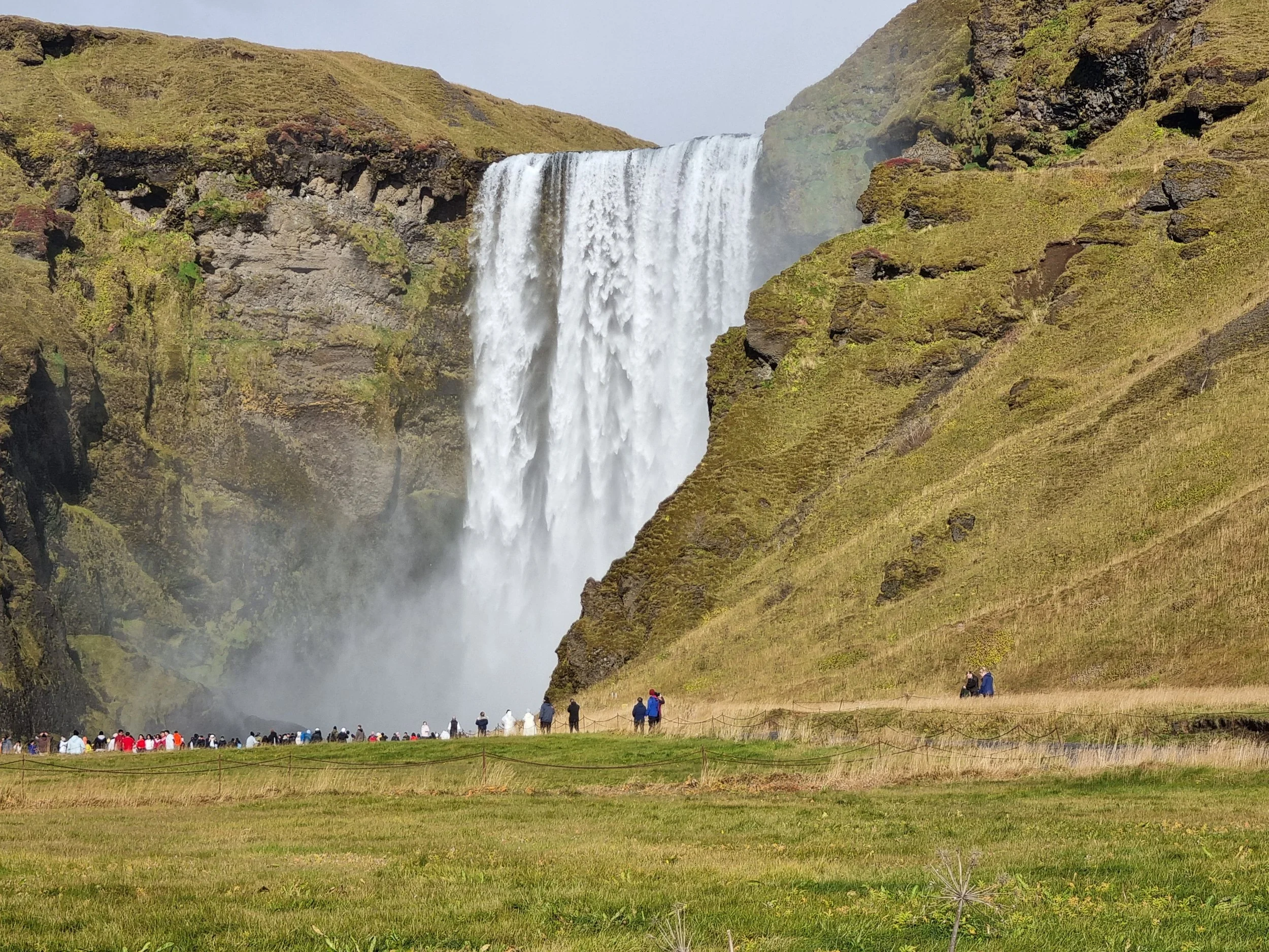 Explorando terras vikings