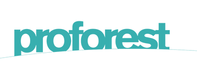 The word 'proforest' written in teal-blue lowercase letters with a slight curve underneath.