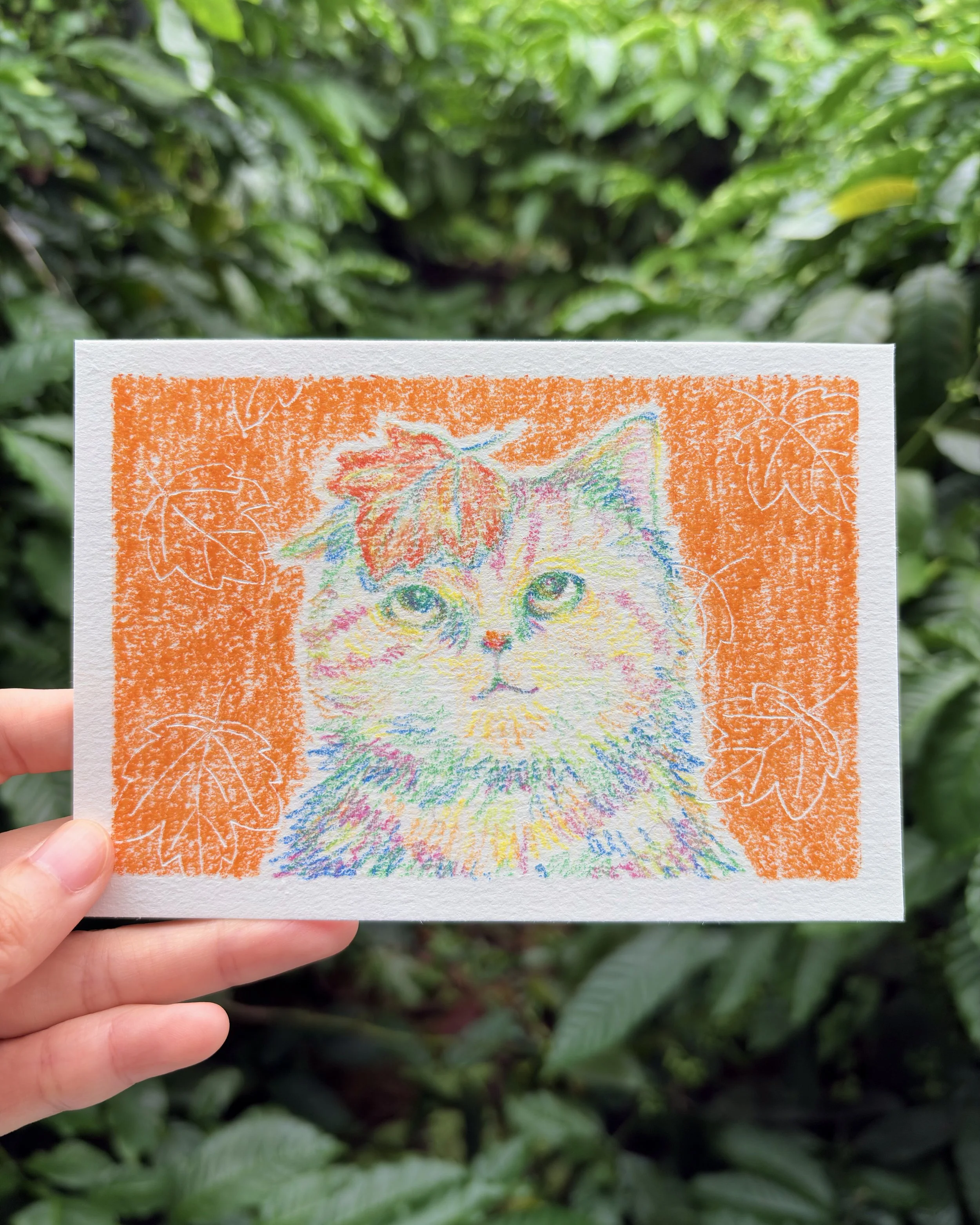 Colorful drawing of a cat with a leaf on its head, surrounded by an orange background with leaf outlines, held by a person's hand in front of green foliage.