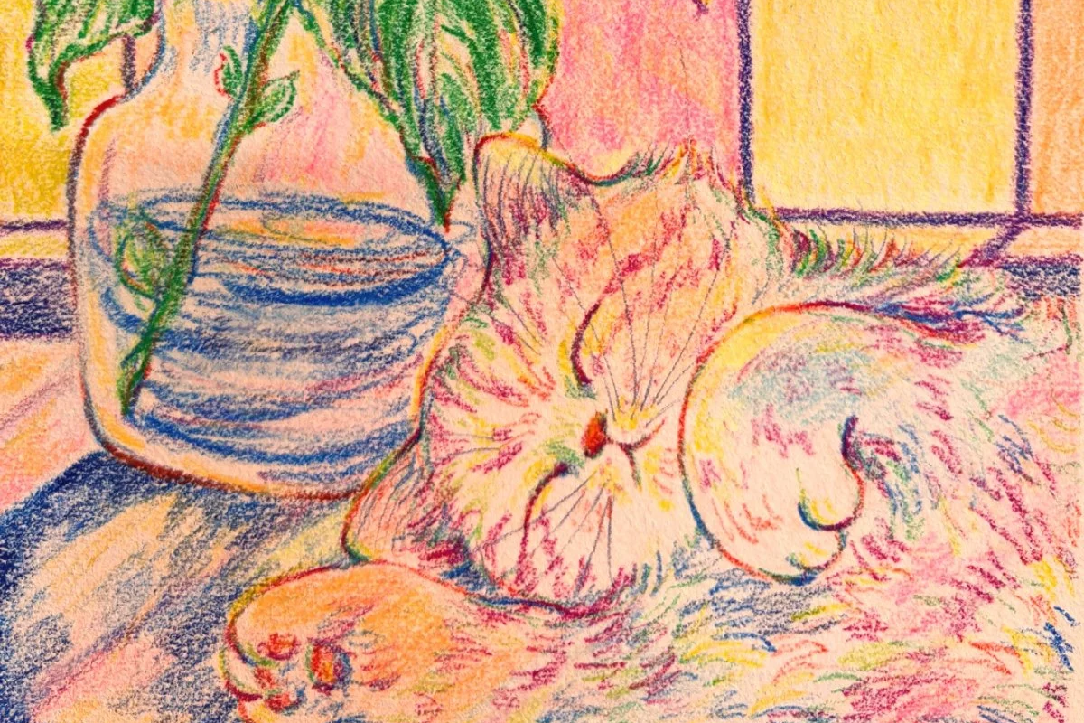Colorful pastel drawing of a potted plant with green leaves next to a sleeping cat curled up on a flat surface.