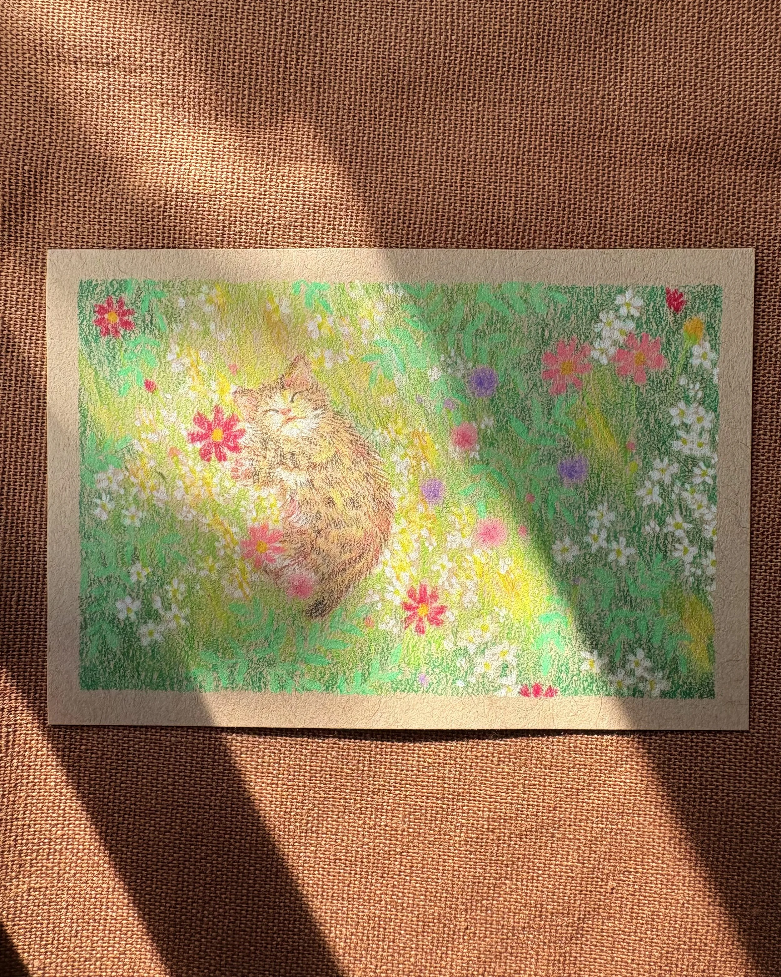 Drawing of a fluffy brown cat sitting among colorful flowers, with sunlight filtering on a patch of grass.