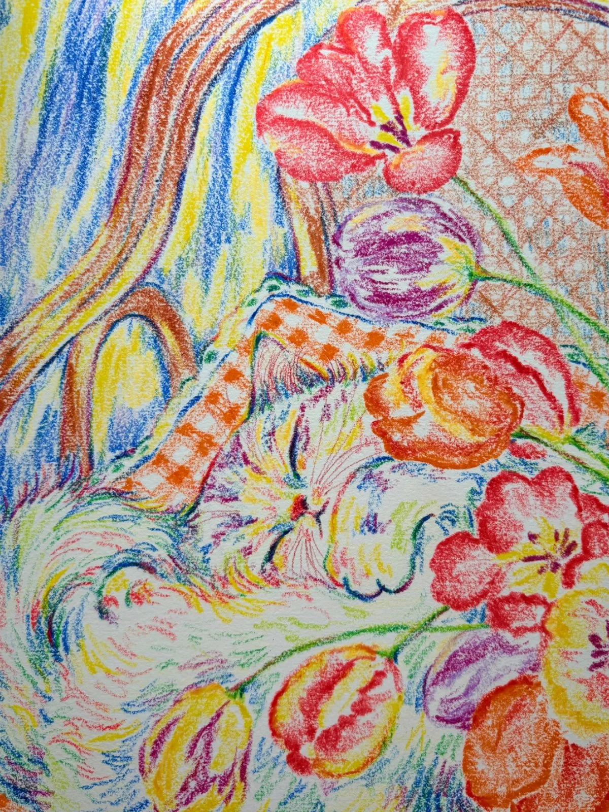 Vivid Tulip Dream