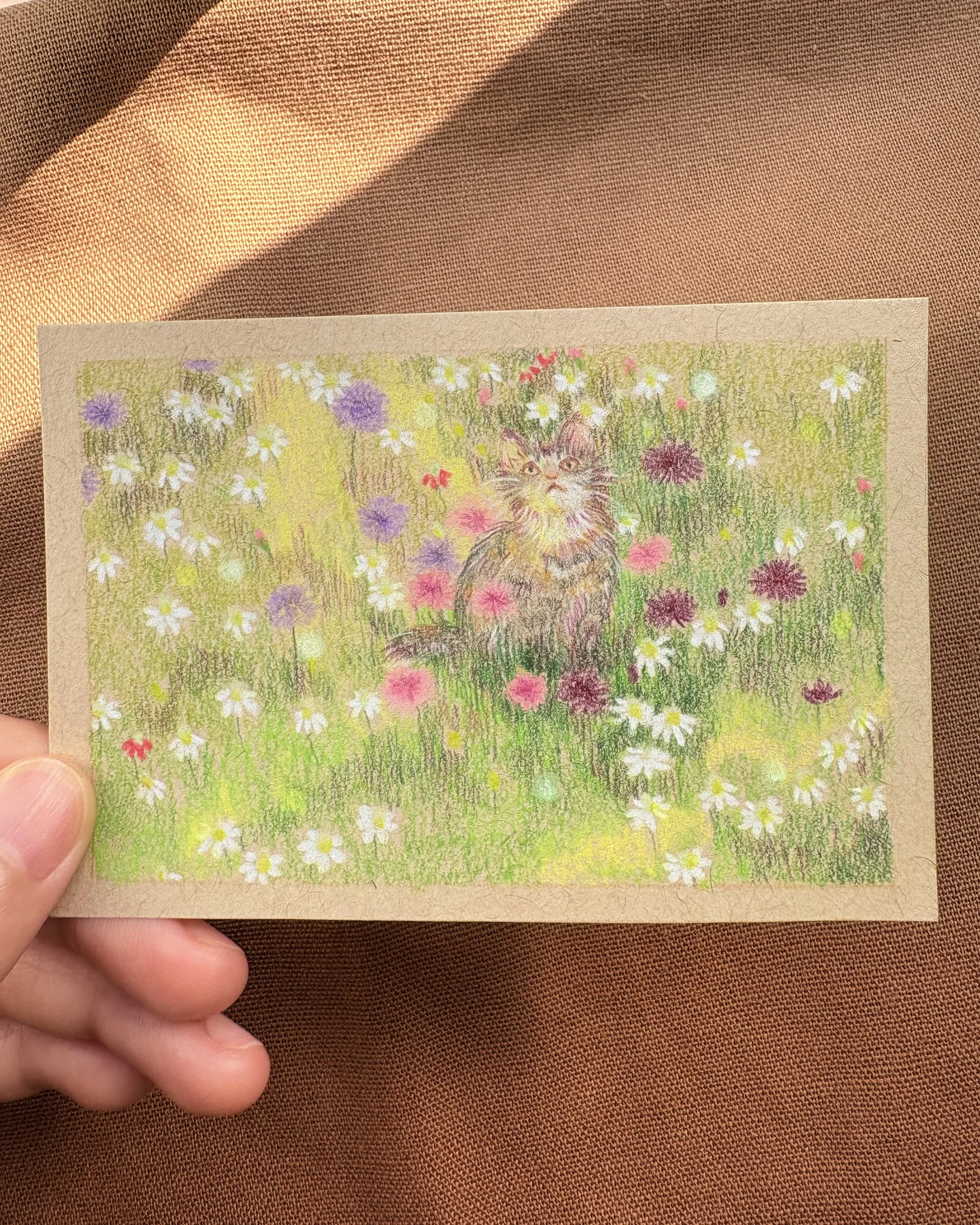 Colorful artistic drawing of a fluffy cat sitting in a field of wildflowers, including daisies and purple and pink blossoms.