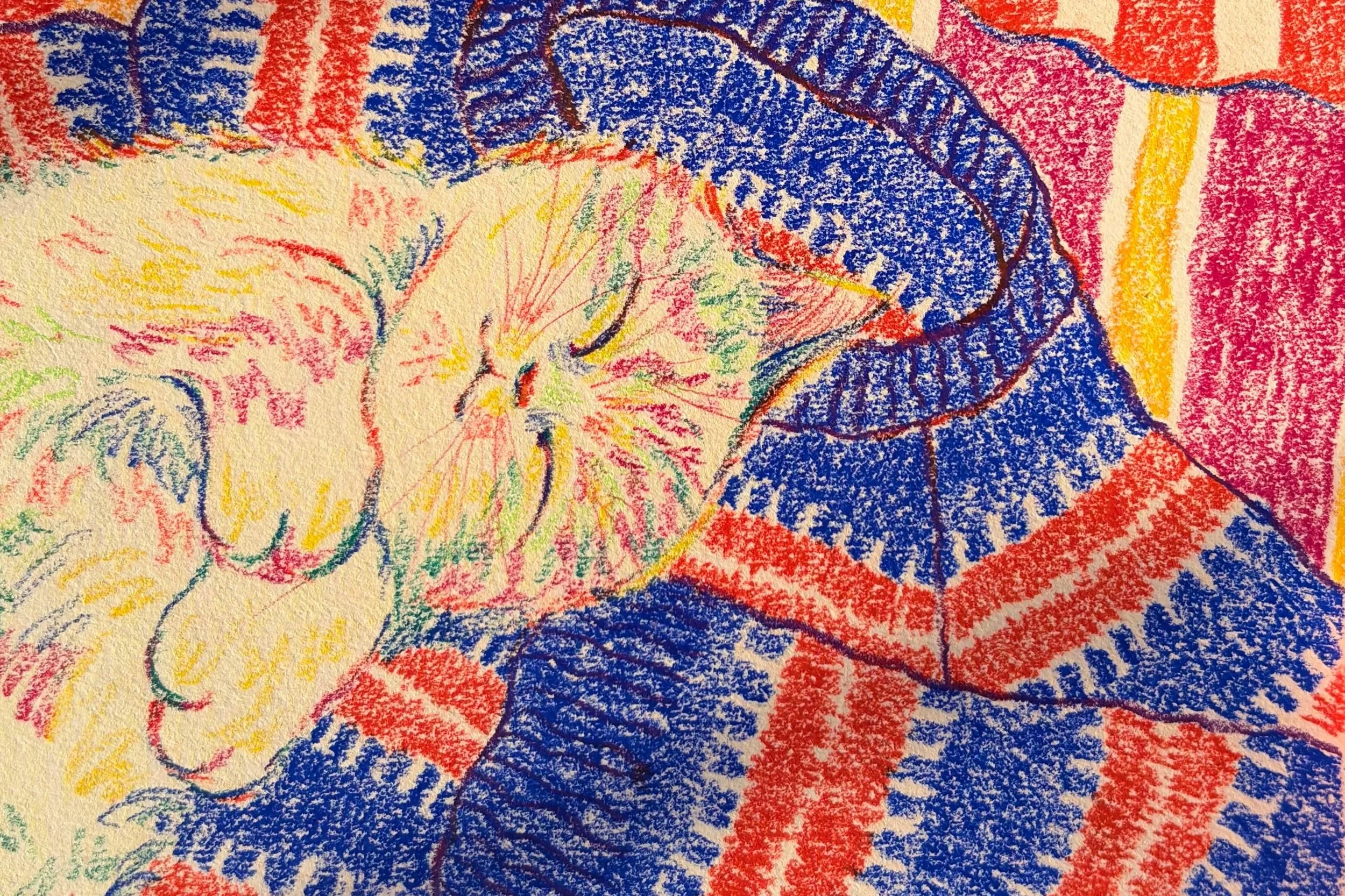 Colorful abstract drawing created with crayons or pastels, featuring overlapping shapes and scribbles in red, blue, yellow, green, and purple.
