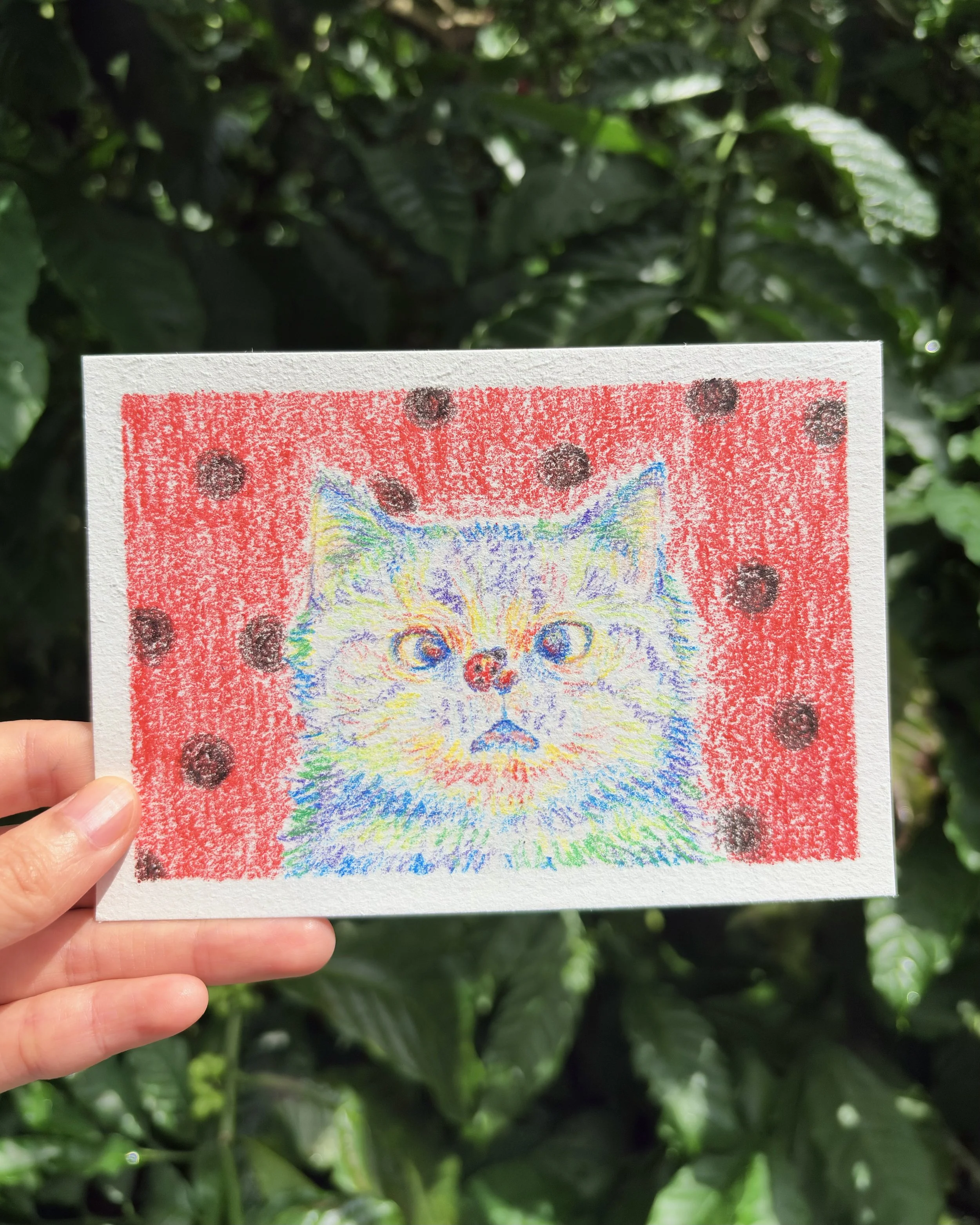 Colorful drawing of a surprised kitten with a red nose, set against a red background with black dots, being held by a hand in front of green foliage.