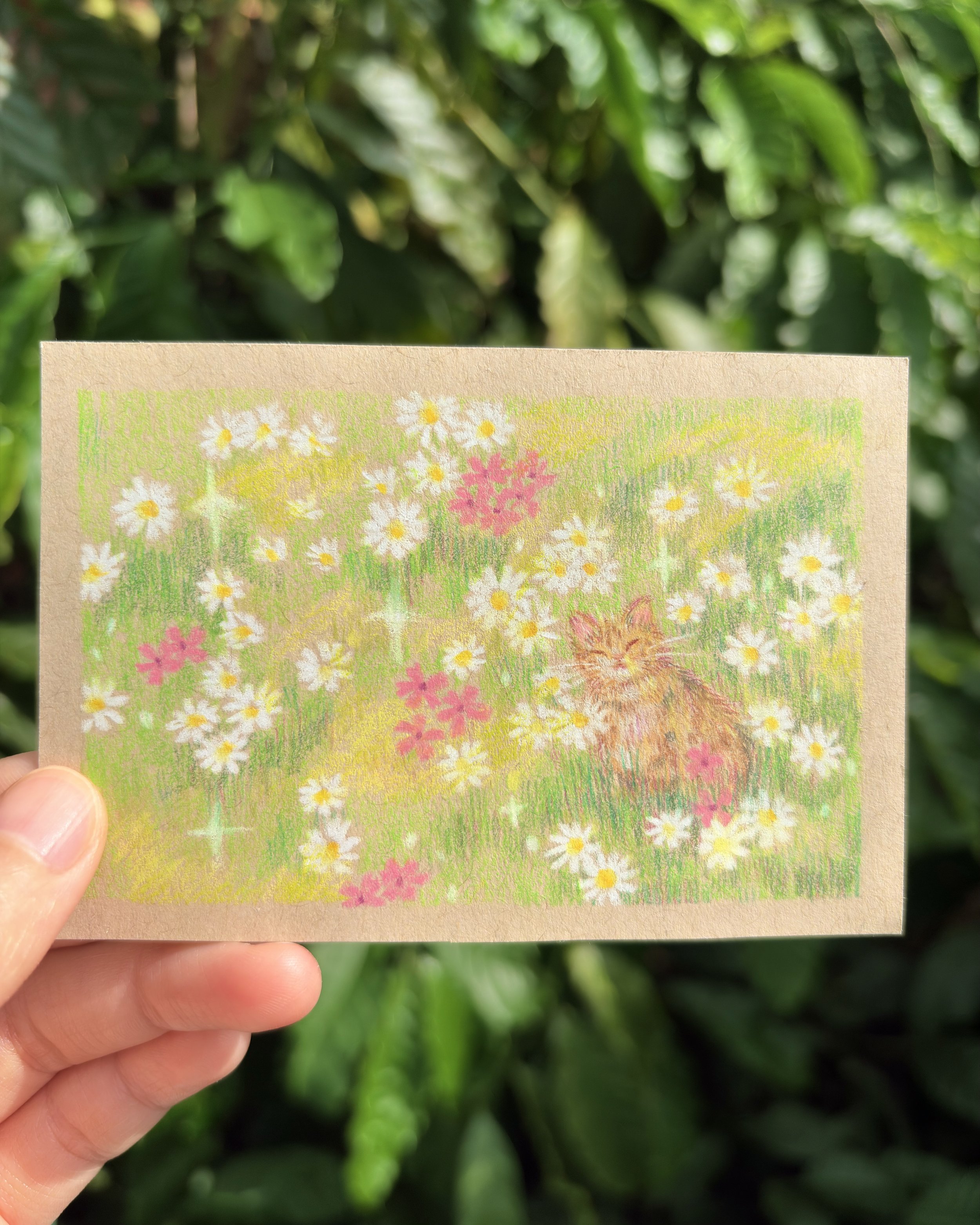 A hand holds a small, colorful drawing of a grassy field with daisies, pink flowers, and a sleeping cat, set against a background of lush green leaves.