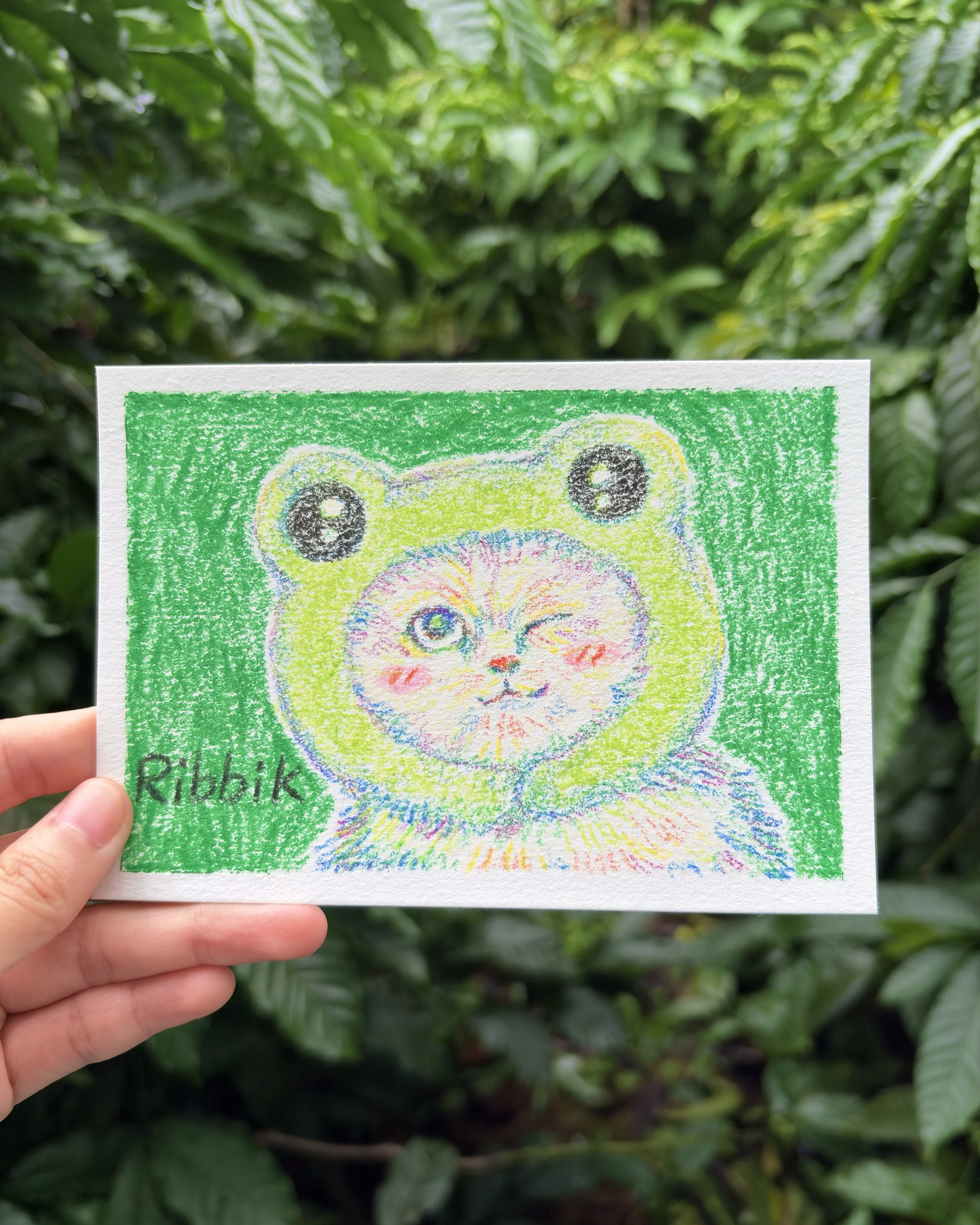Colorful drawing of a cat with a frog costume, winking and blushing, with "Ribbik" written on the bottom left, held up against a green leafy background.