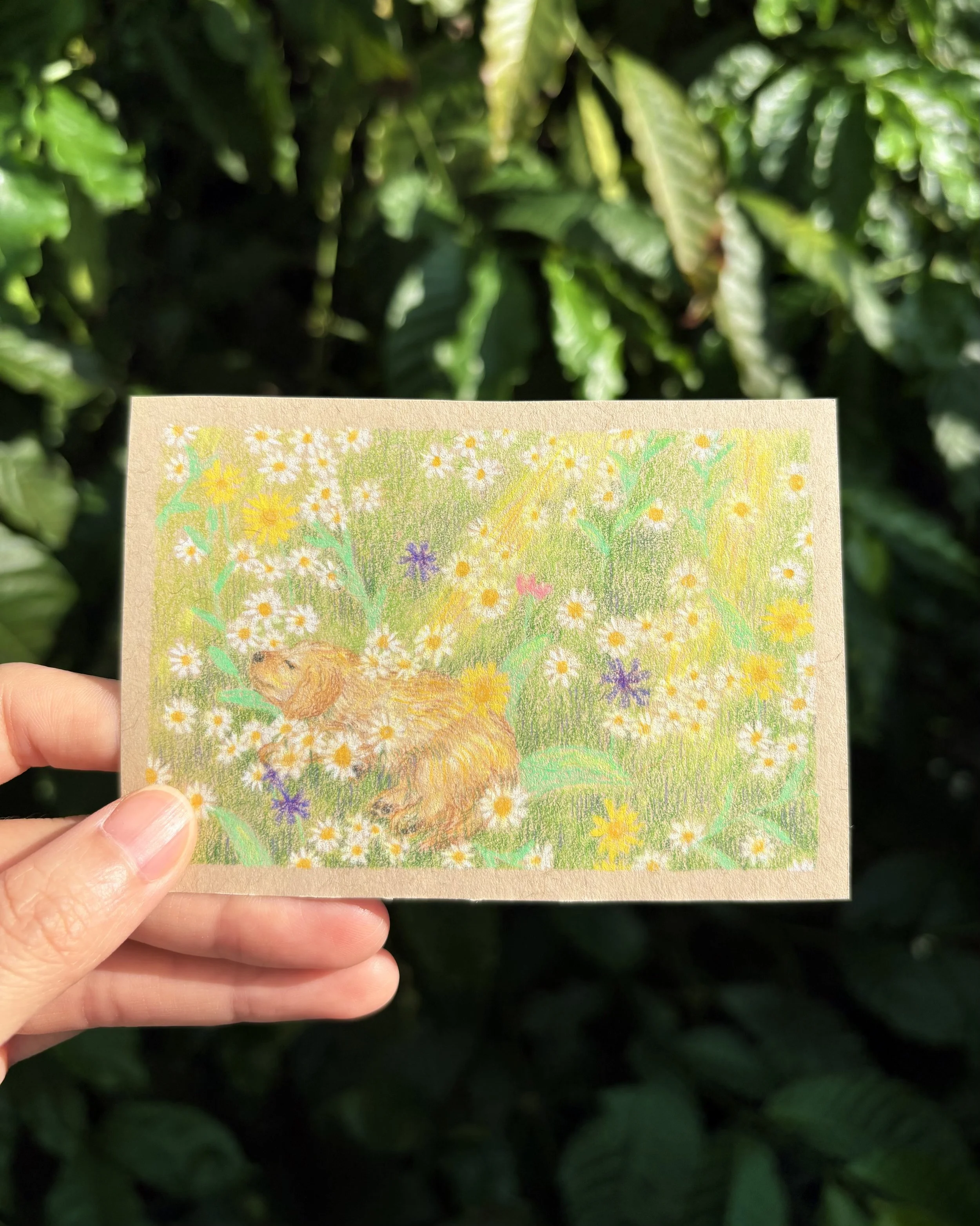 A hand holding a small colorful drawing of a dog lying in a field of flowers with green, yellow, purple, and white colors, against a leafy green background.