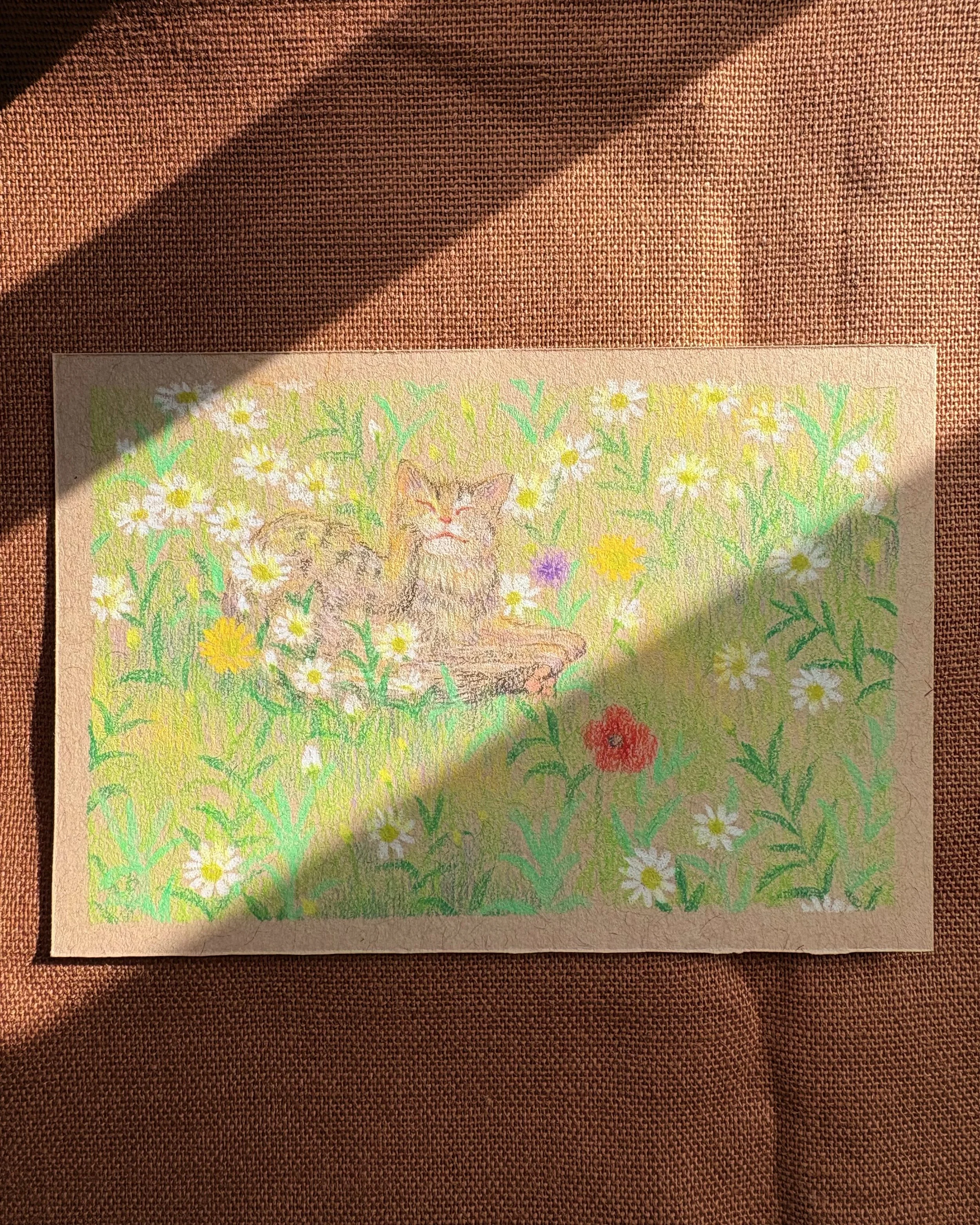A colored drawing of a fox sitting among tall grass and wildflowers, including daisies, in a sunny outdoor setting.
