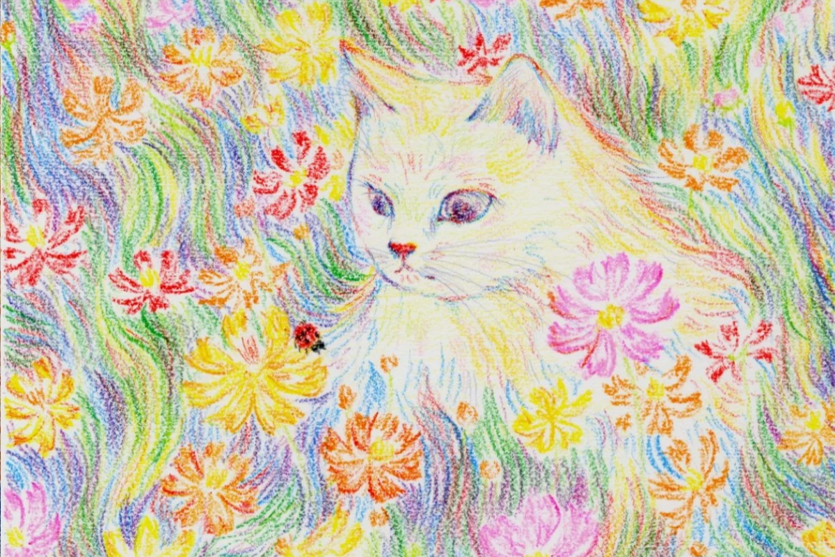 Colorful crayon drawing of a white cat surrounded by pink, yellow, red, and orange flowers, with a ladybug on a yellow flower.
