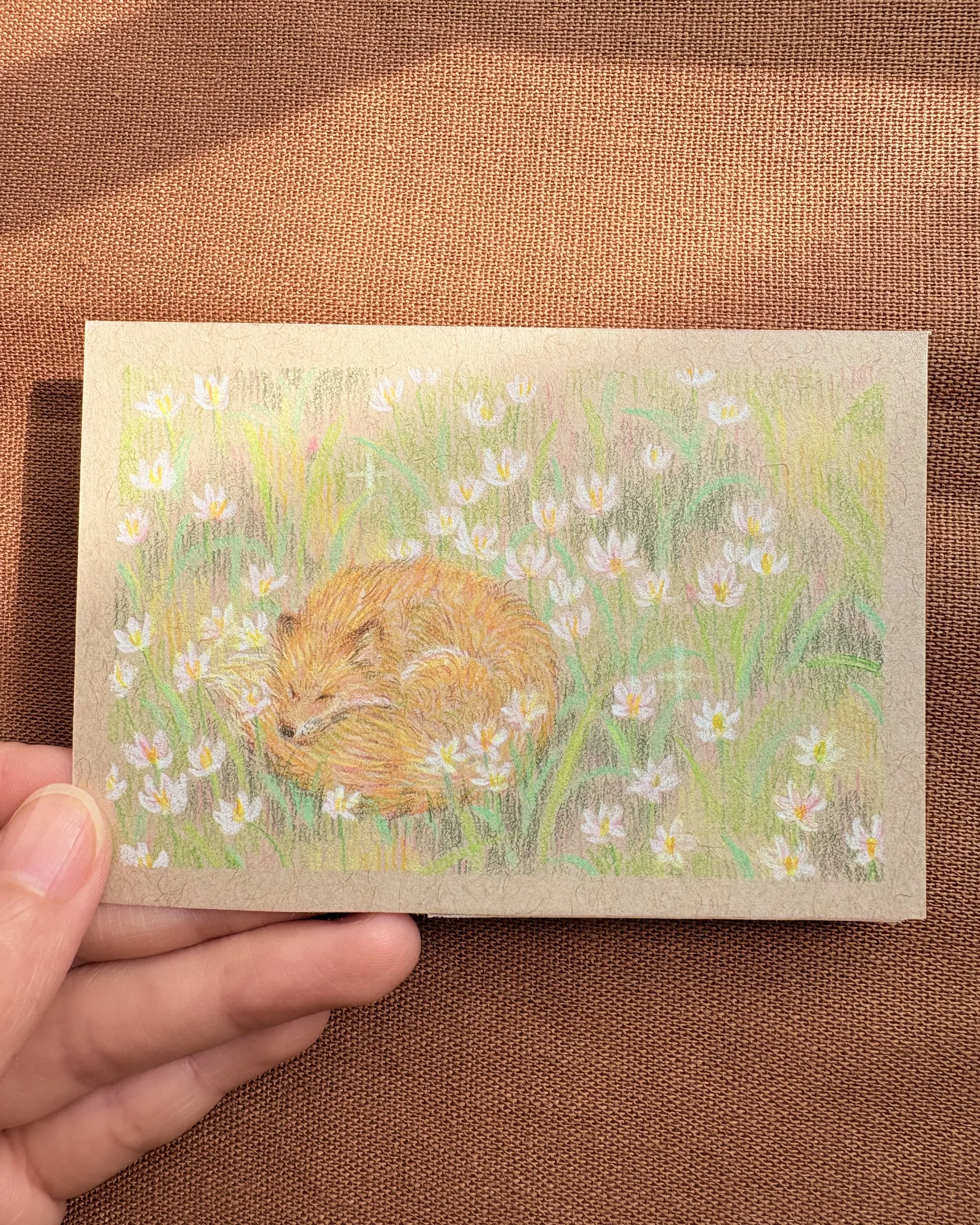 A hand holding a small piece of paper with a drawing of a sleeping fox curled up among white flowers and green grass.
