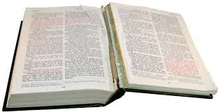 Libro danneggiato da riparare