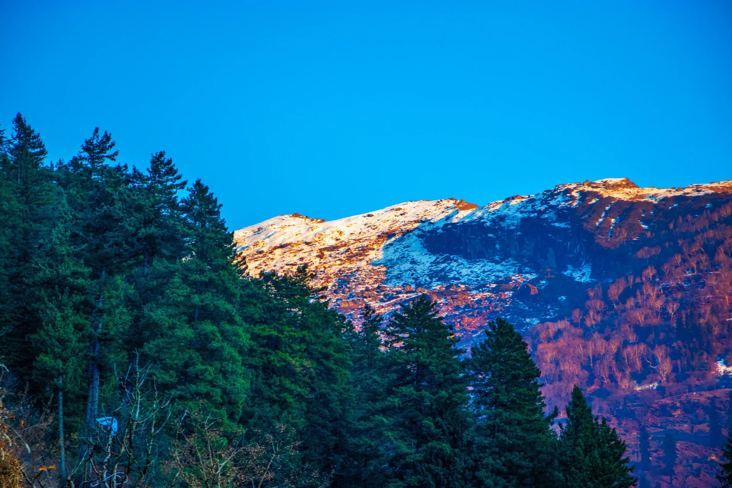 Surrounded by pine forests and silence