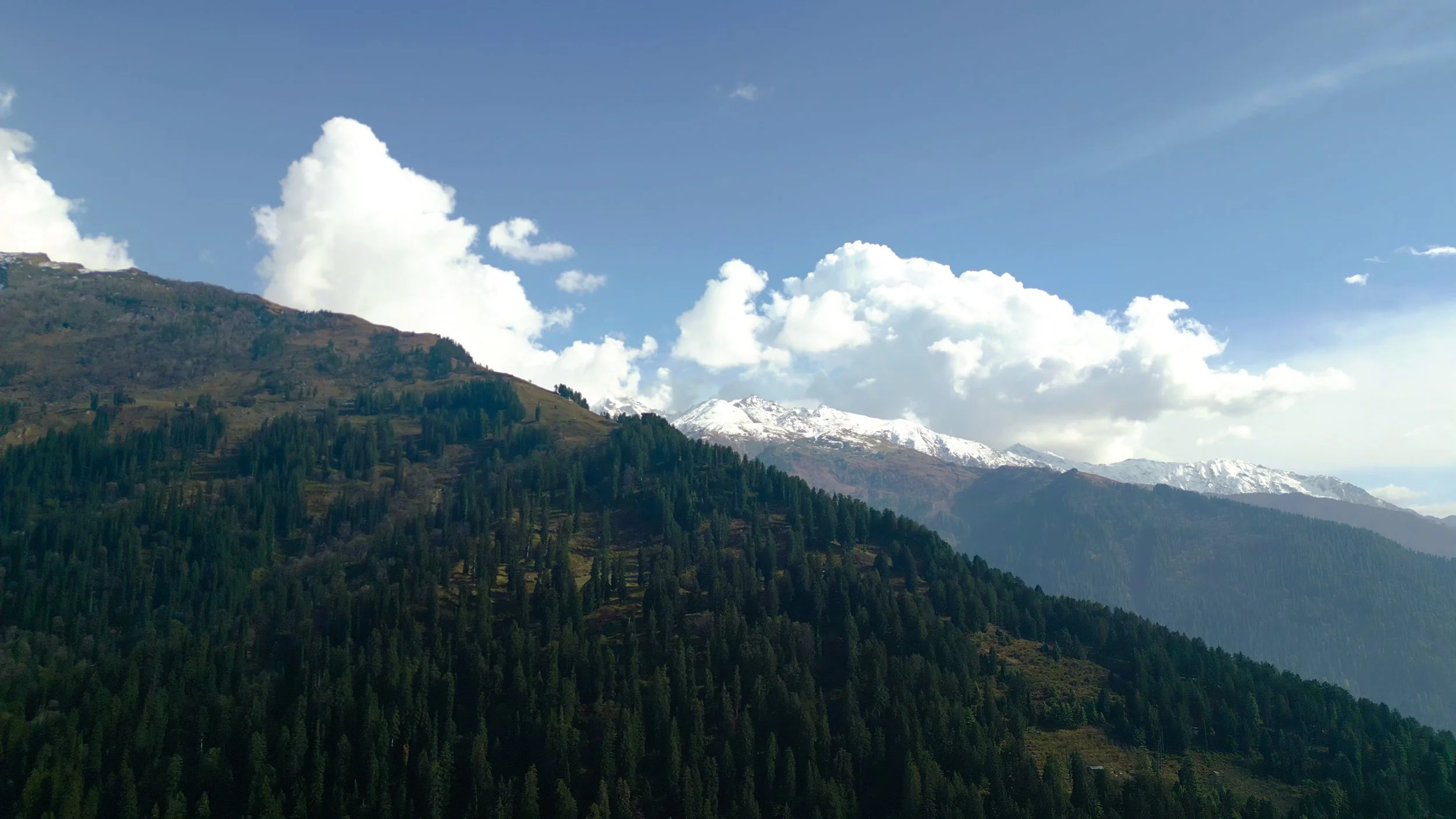 Hamta New Website-7.jpg