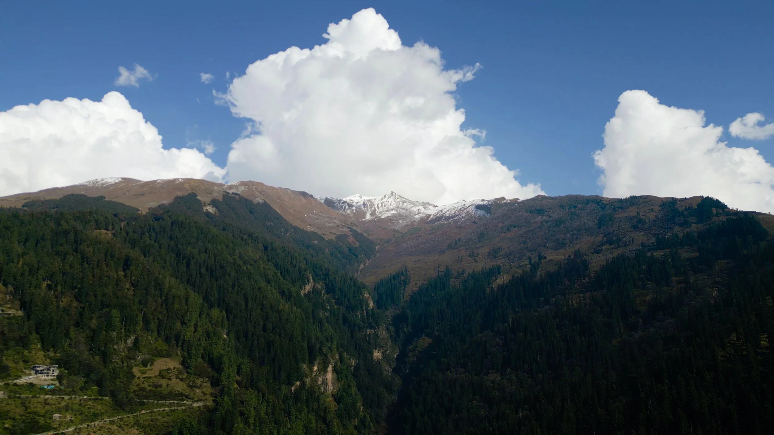 Hamta New Website-5.jpg