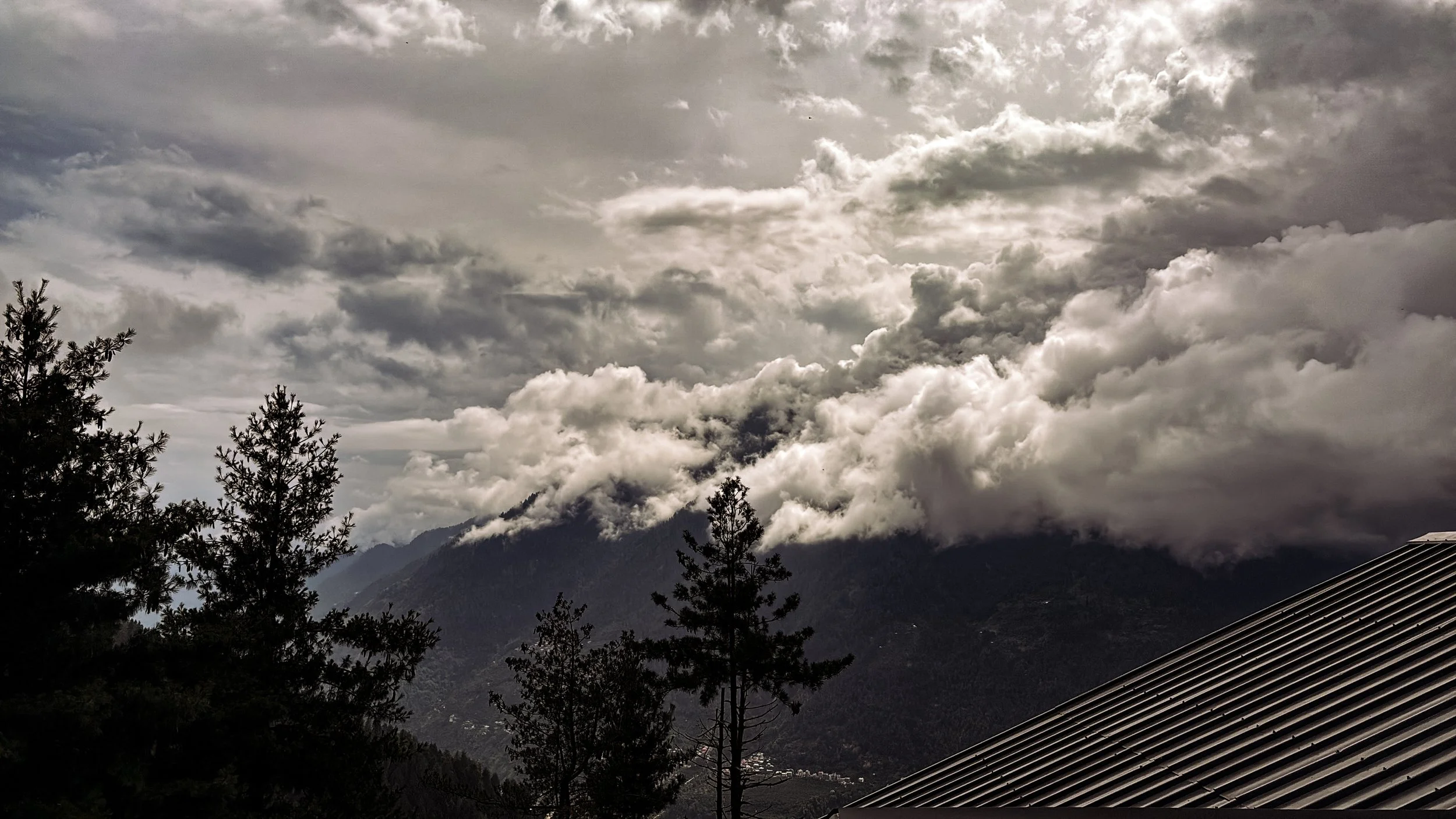 Hamta New Website-34.jpg