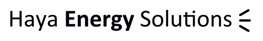 Logo energy Consulting group in Paris and Spain