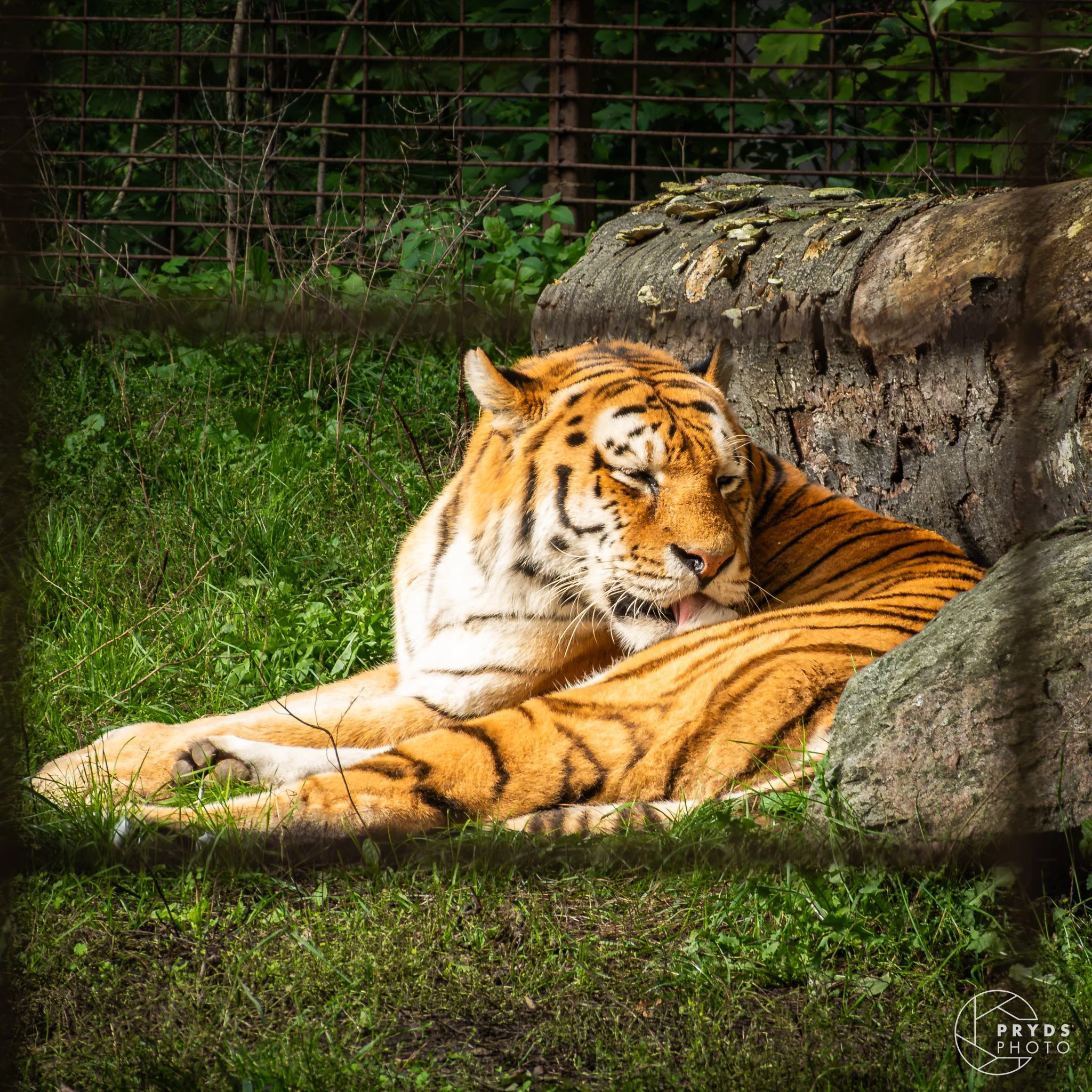 ZOO-3.jpg