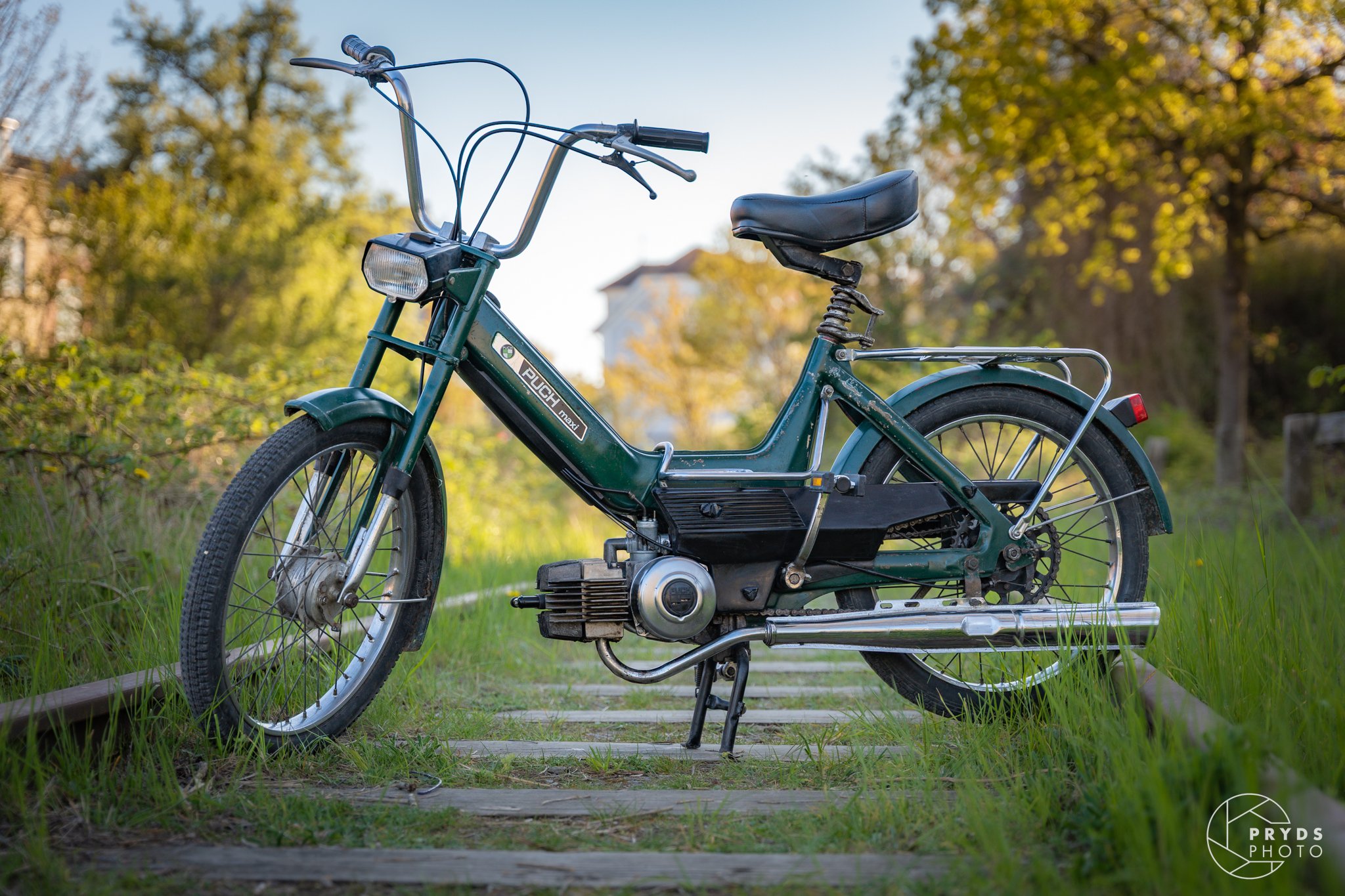 PUCH-15.jpeg