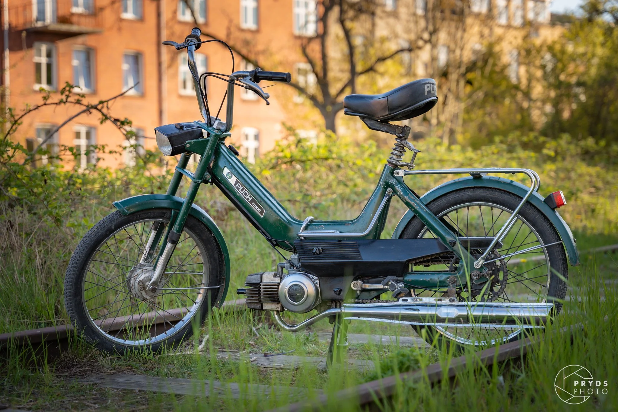 PUCH-13.jpeg
