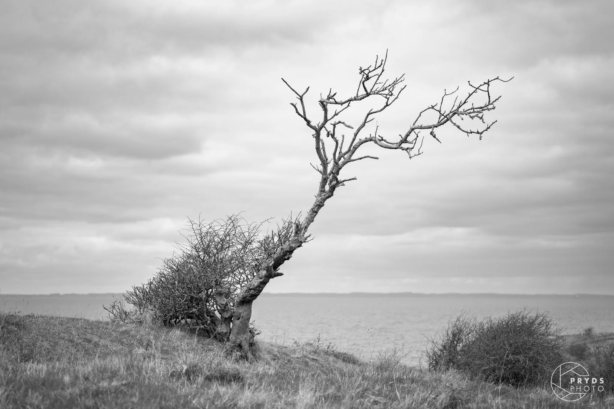 Ærø B&W-1.jpeg