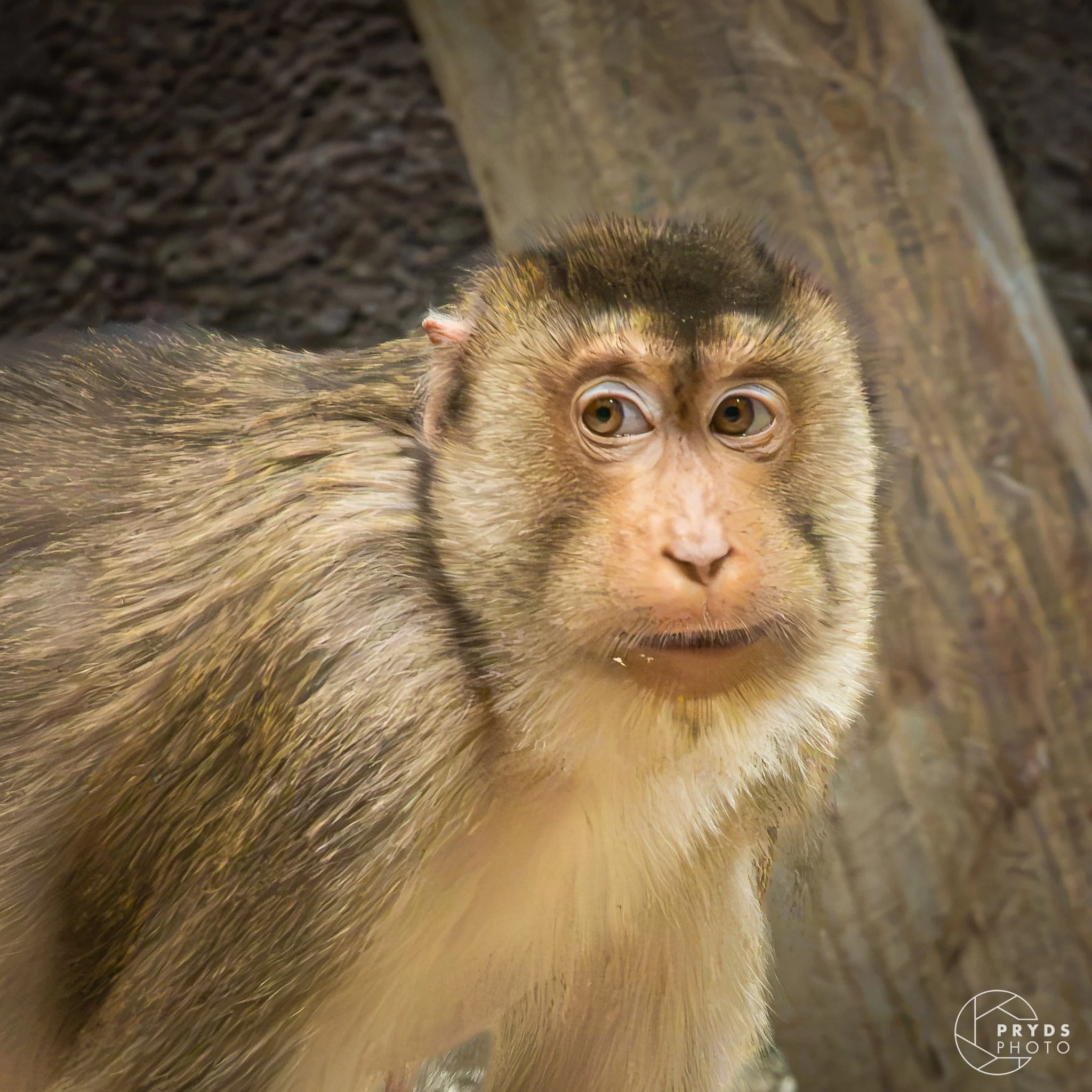 ZOO-25.jpg