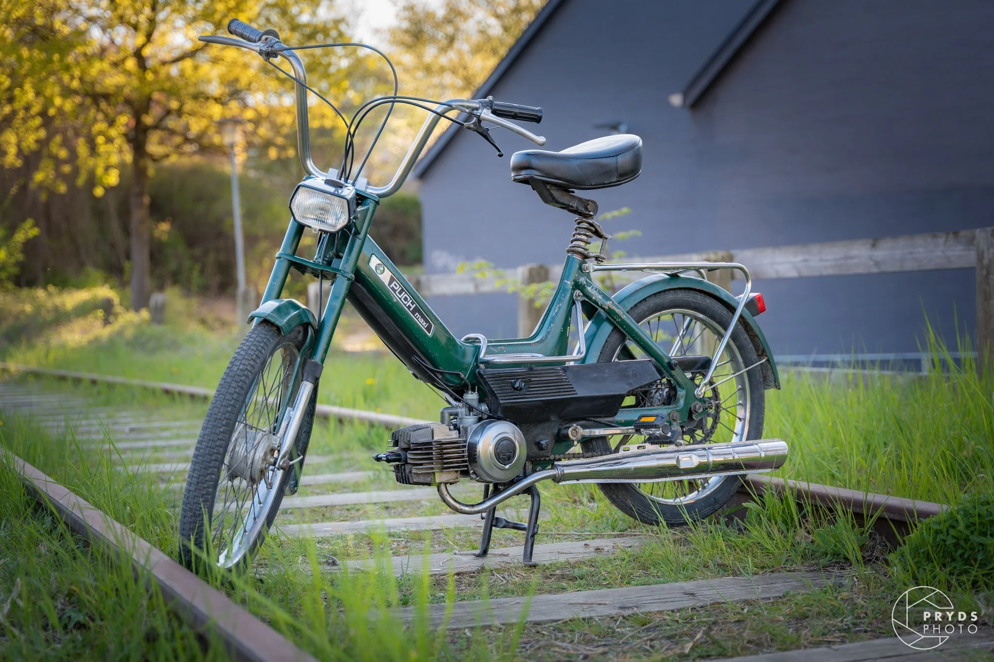 PUCH-14.jpeg
