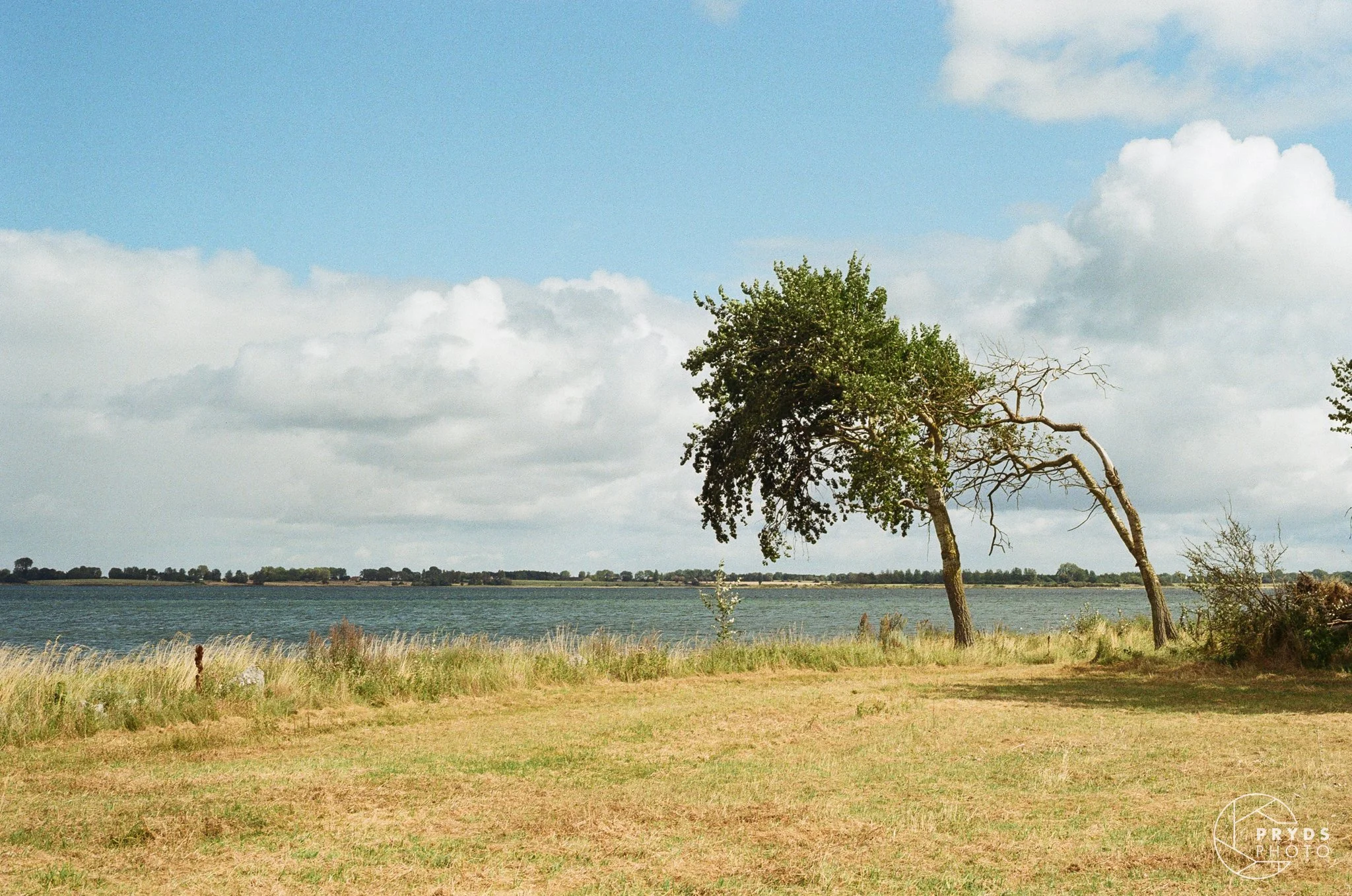 35mm-16.jpg