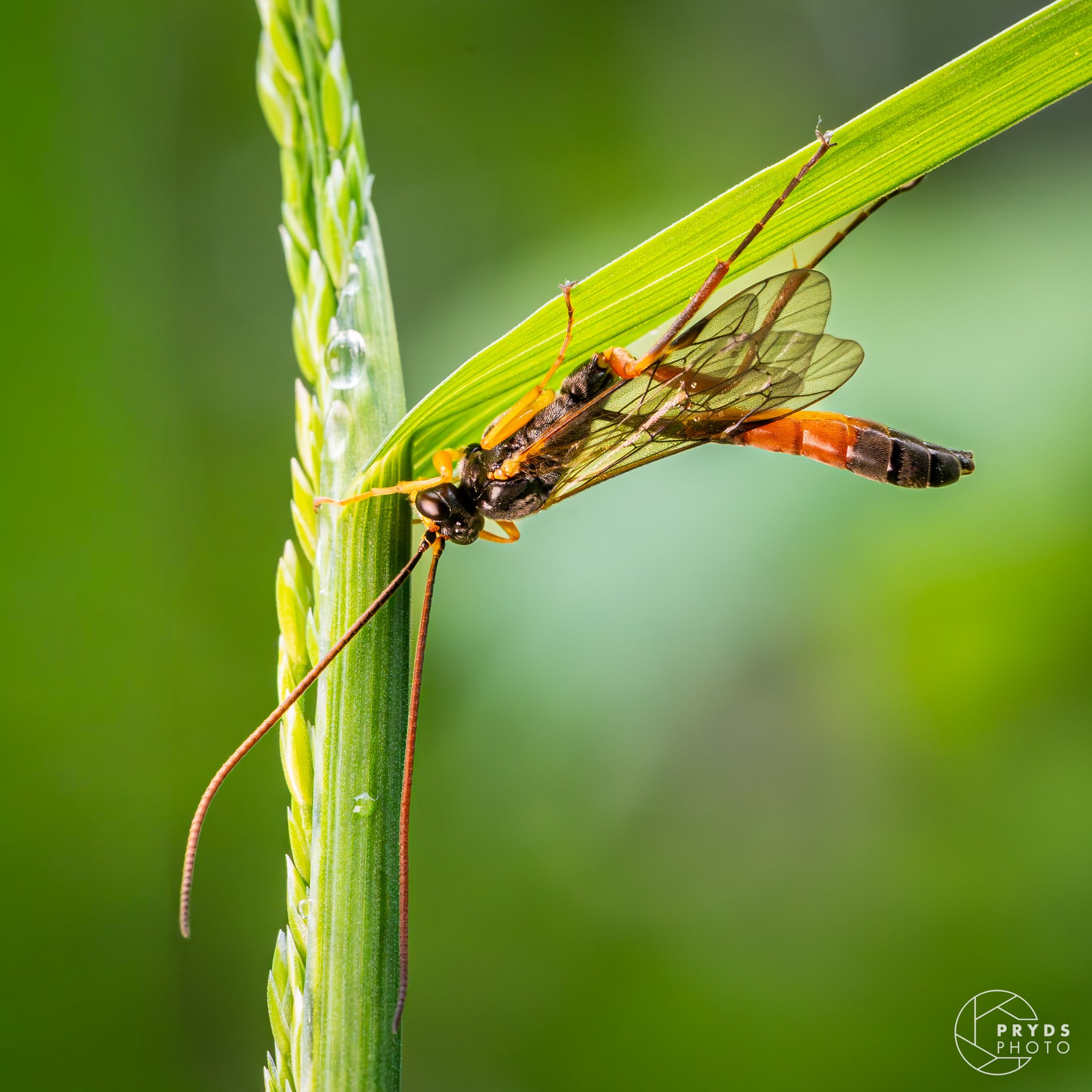 Marcro Marstal-4.jpg