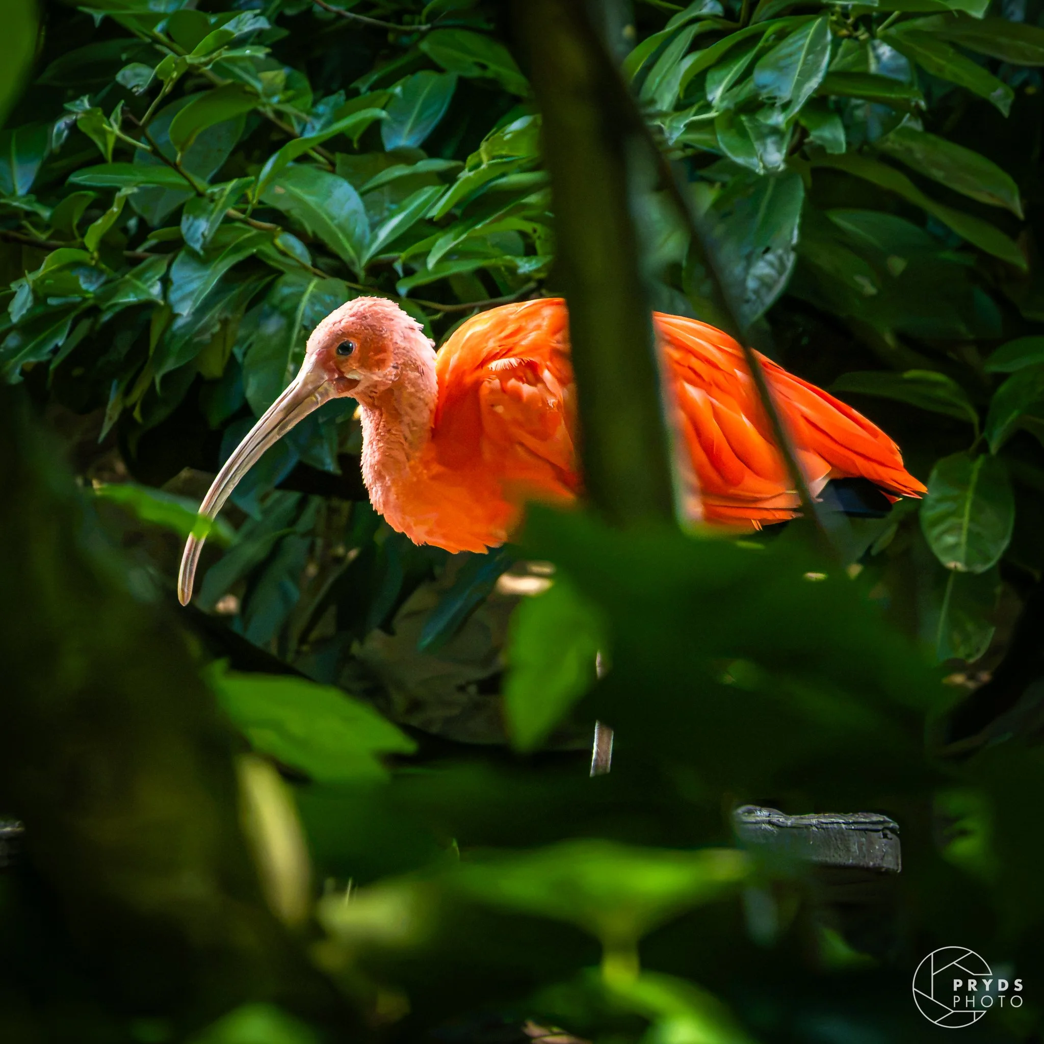 ZOO-18.jpg