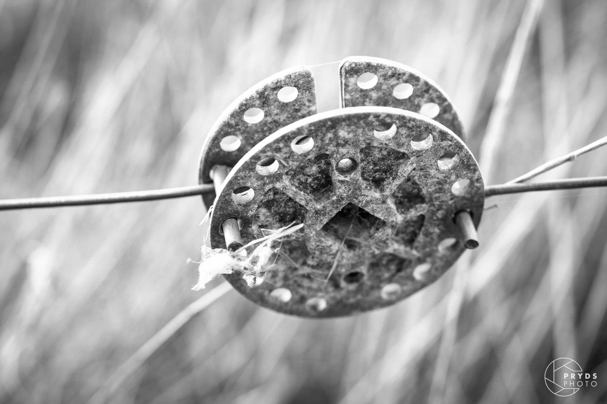 Ærø B&W-8.jpeg