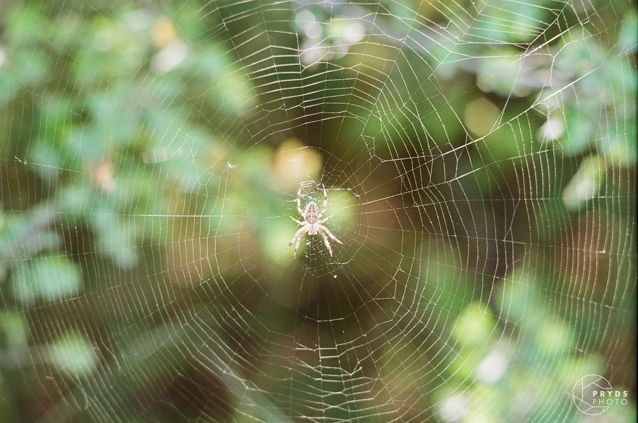 35mm-24.jpg
