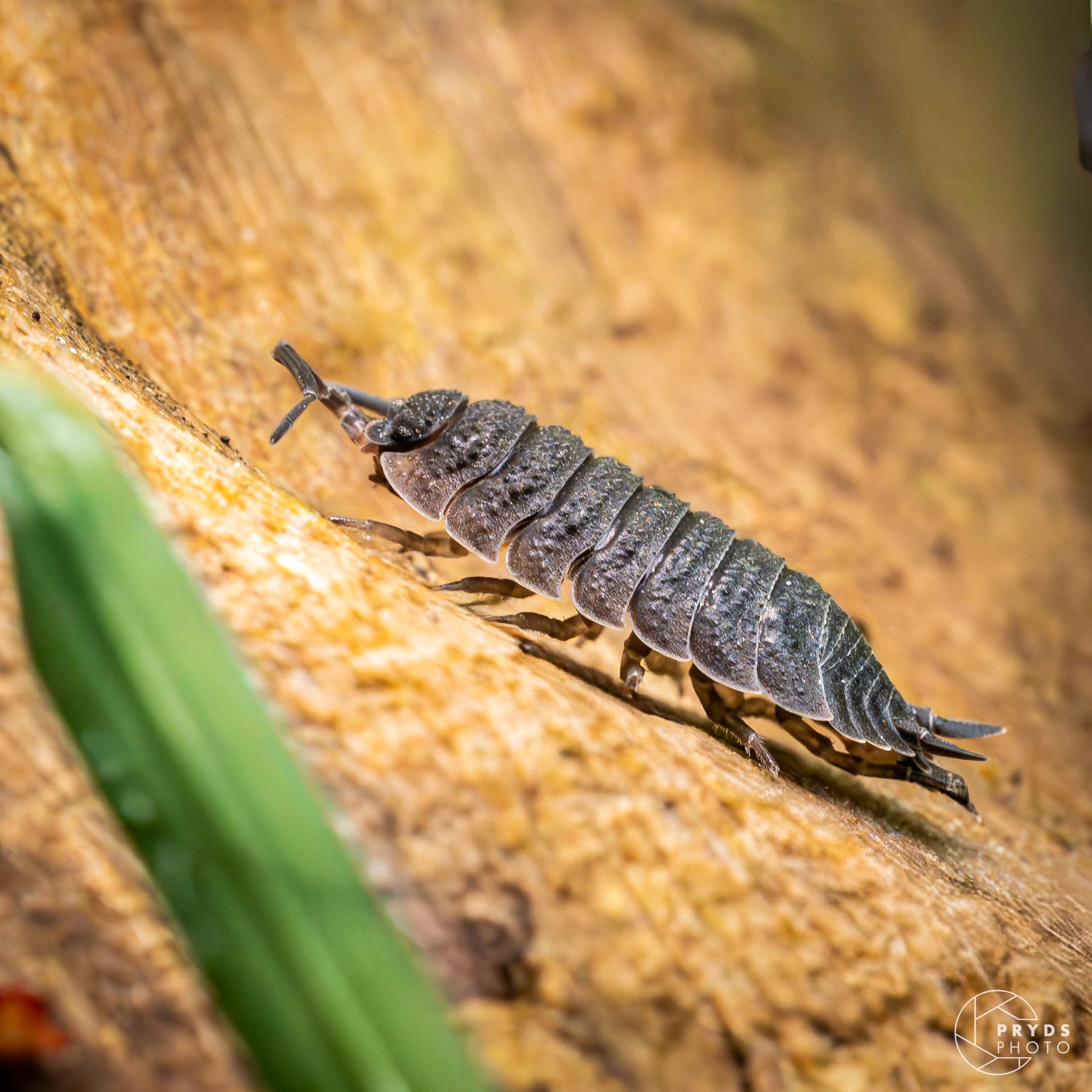 Marcro Marstal-7.jpg