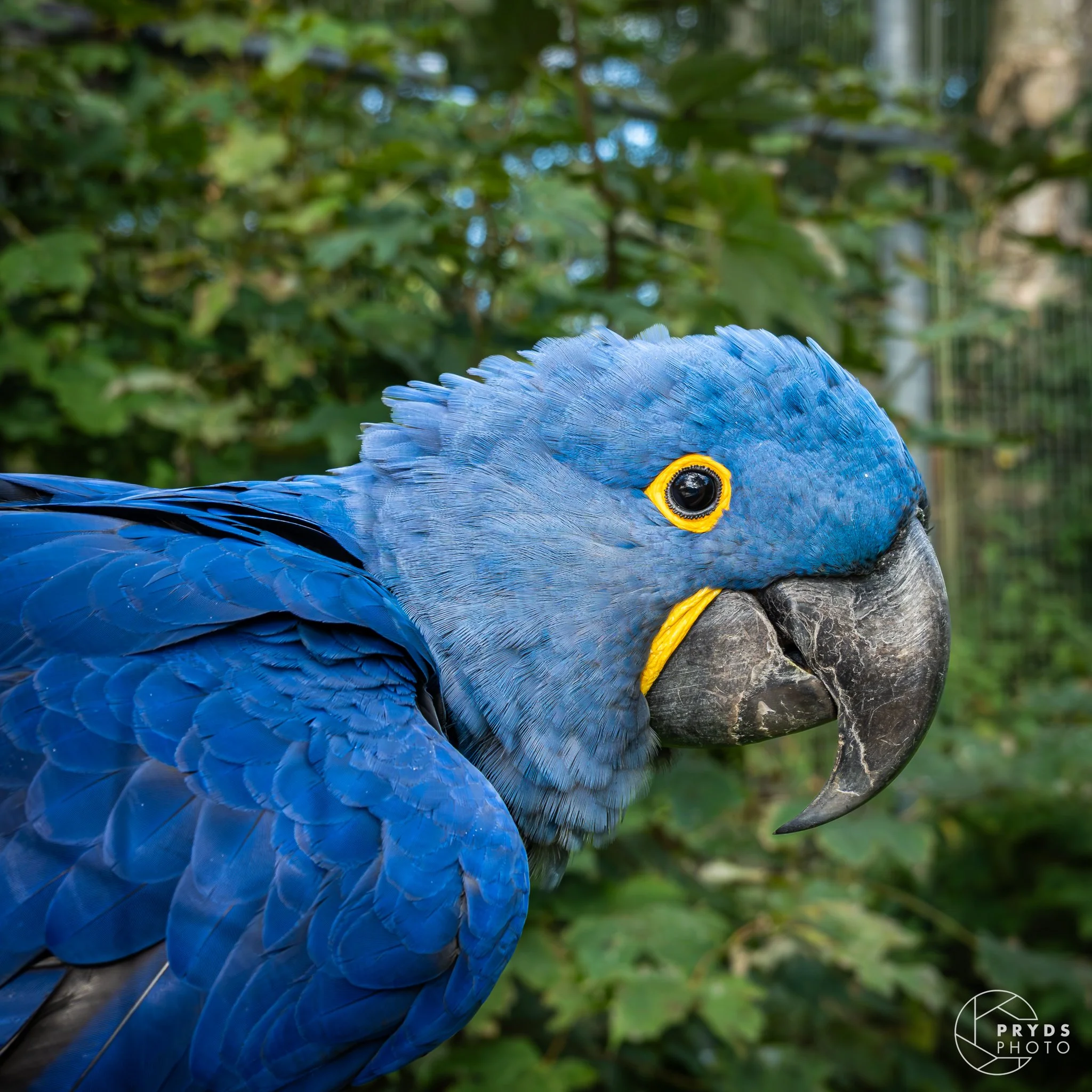 ZOO-23.jpg