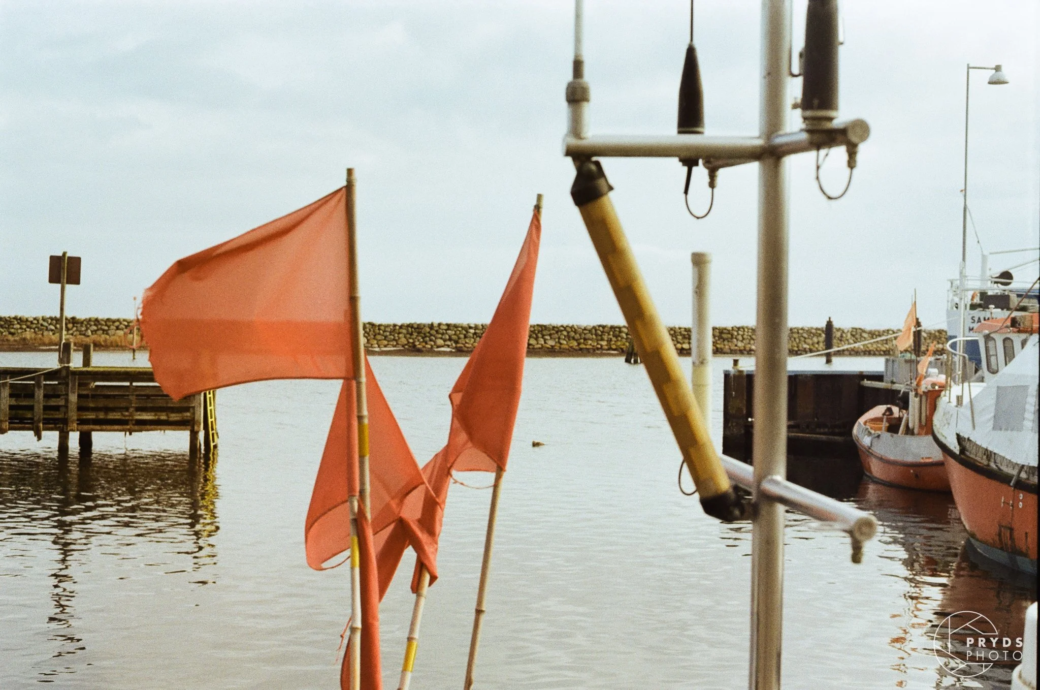 Film 35mm KODAK Gold 200-9.jpg