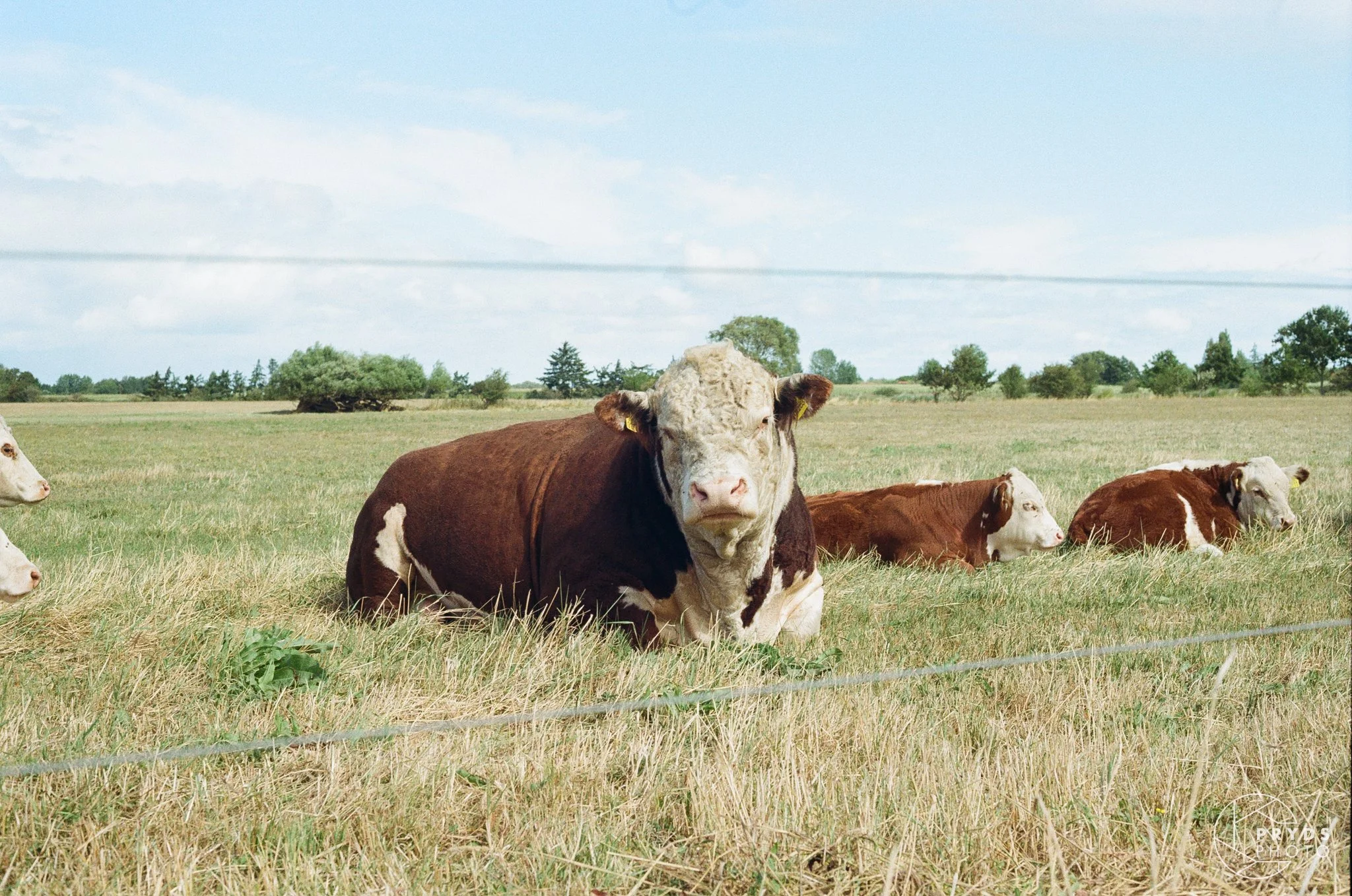 35mm-21.jpg