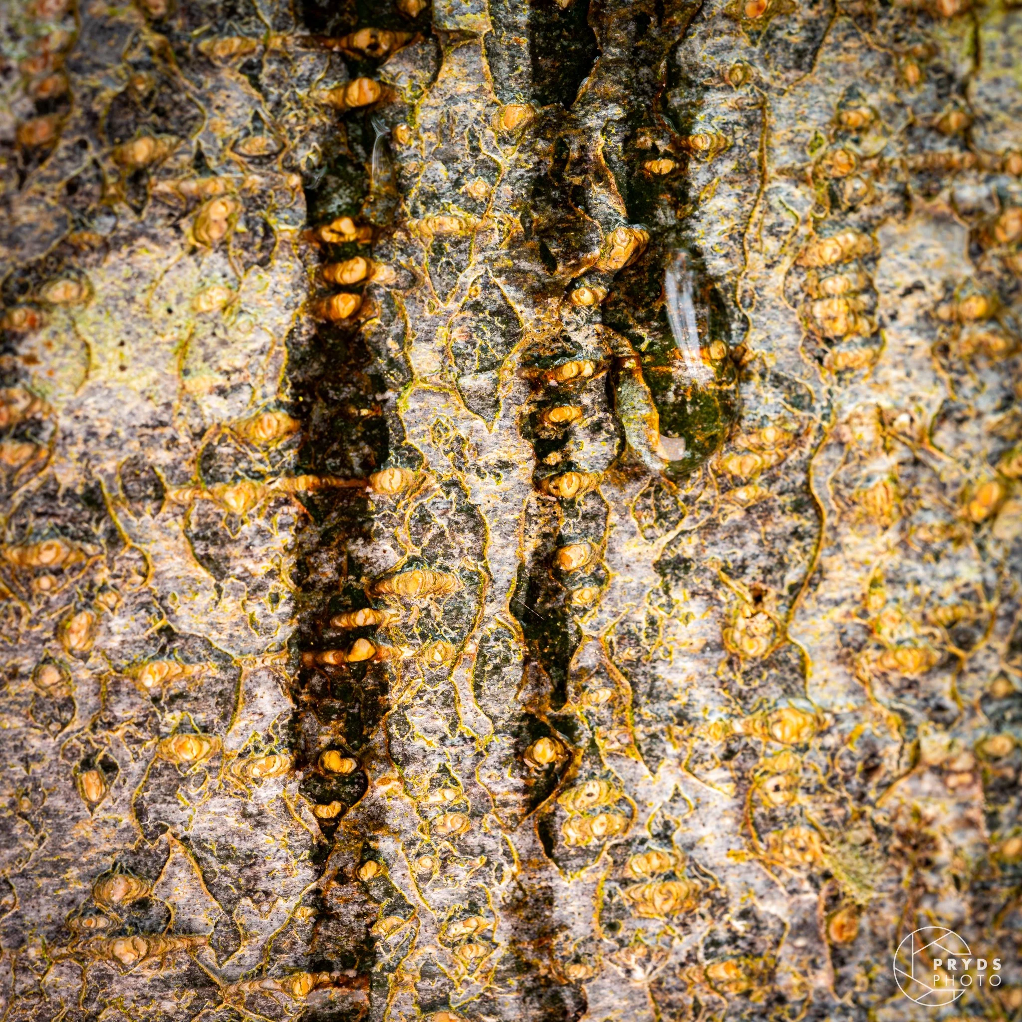 Marcro Marstal-20.jpg