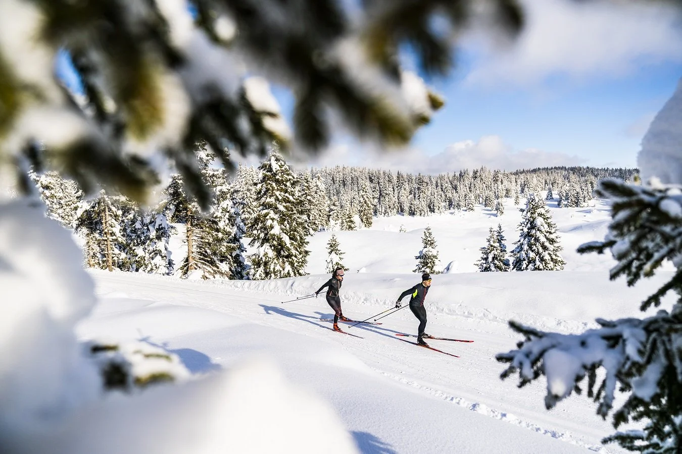 Ski de Fond aux Rousses : Bienvenue au Paradis du Nordique