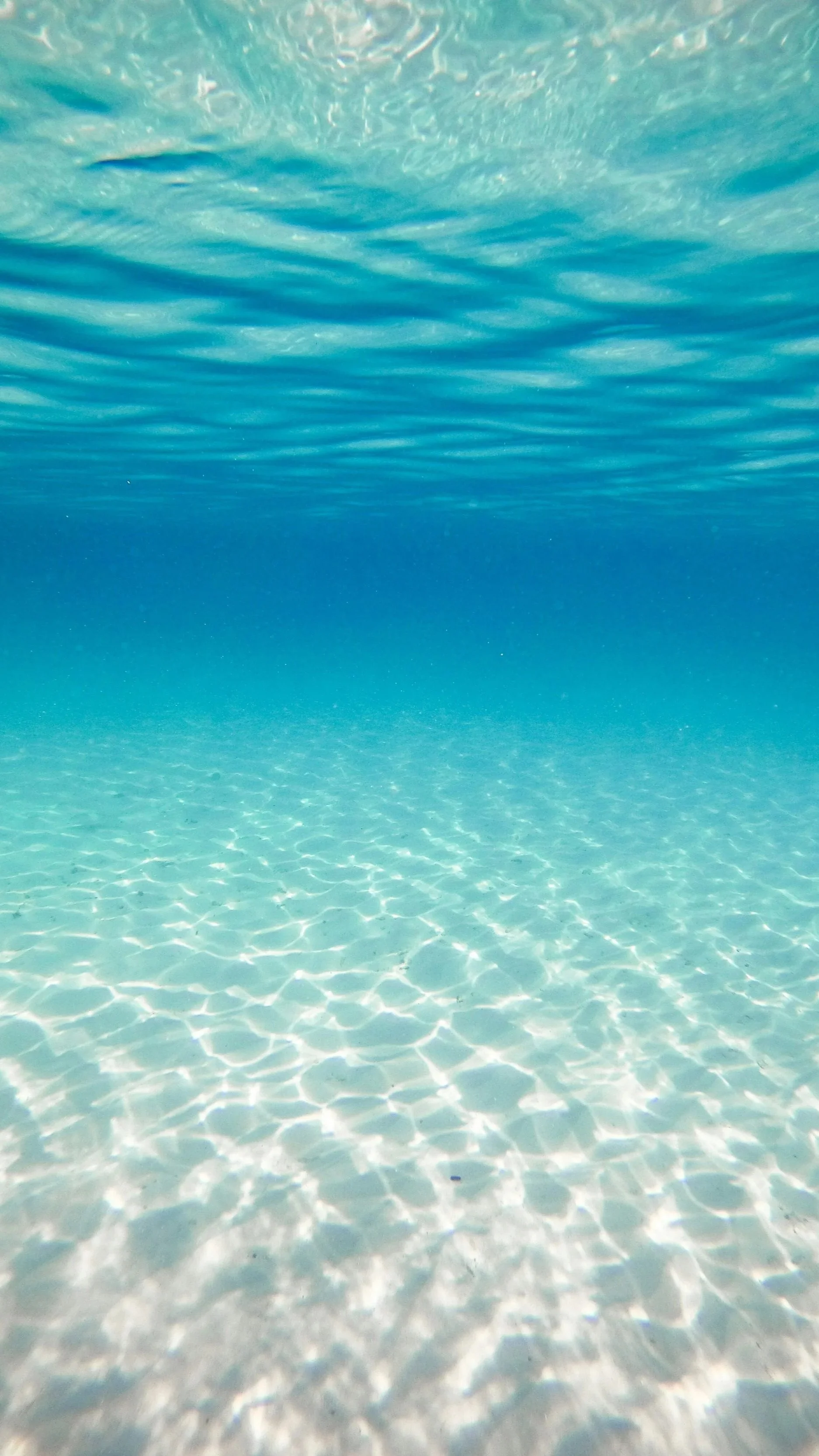 Underwater view of a clear, shallow ocean with rippling water and sunlight reflections on the sandy ocean floor.