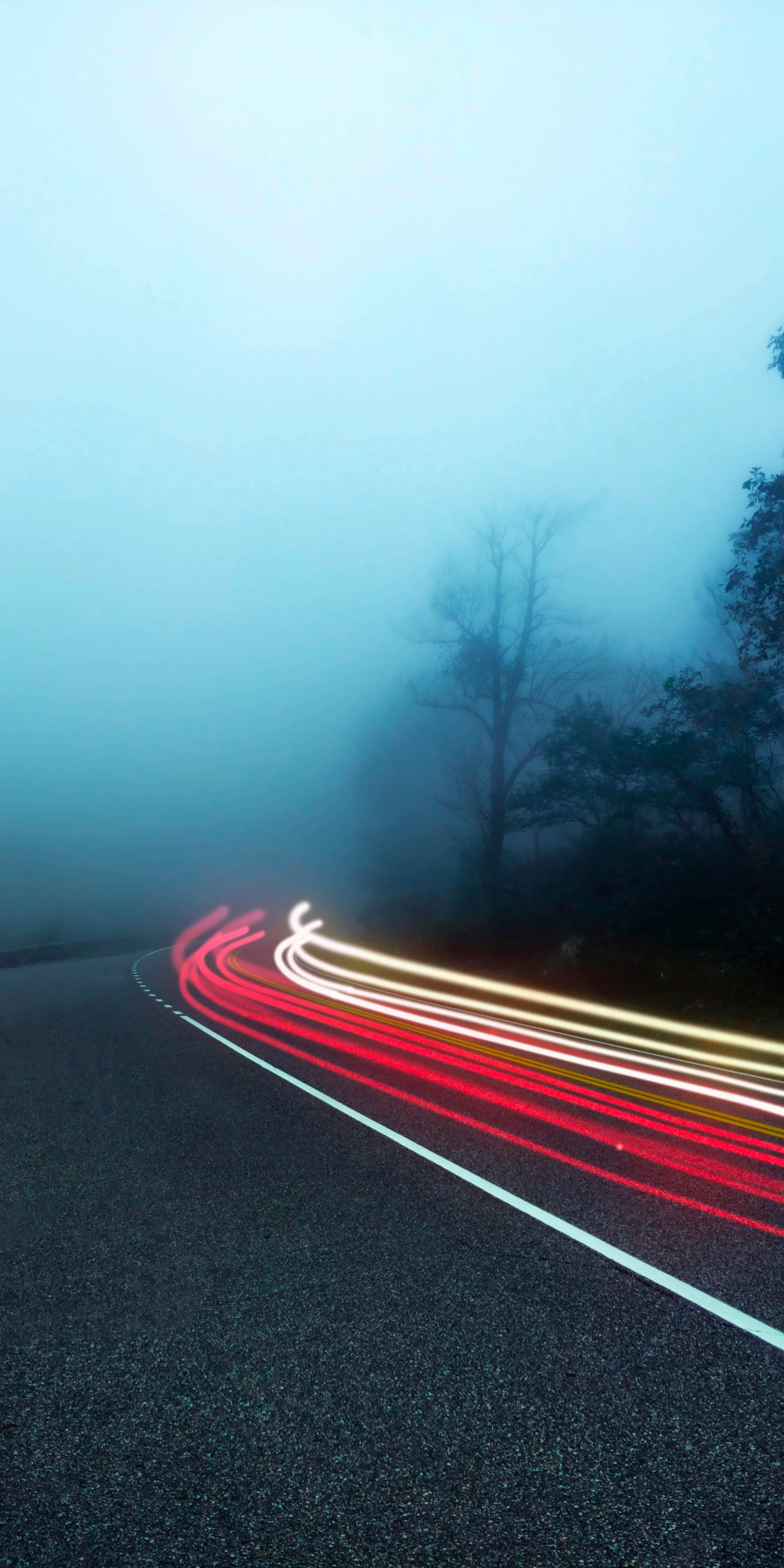A foggy road at dusk with light trails from moving vehicles and trees in the background.