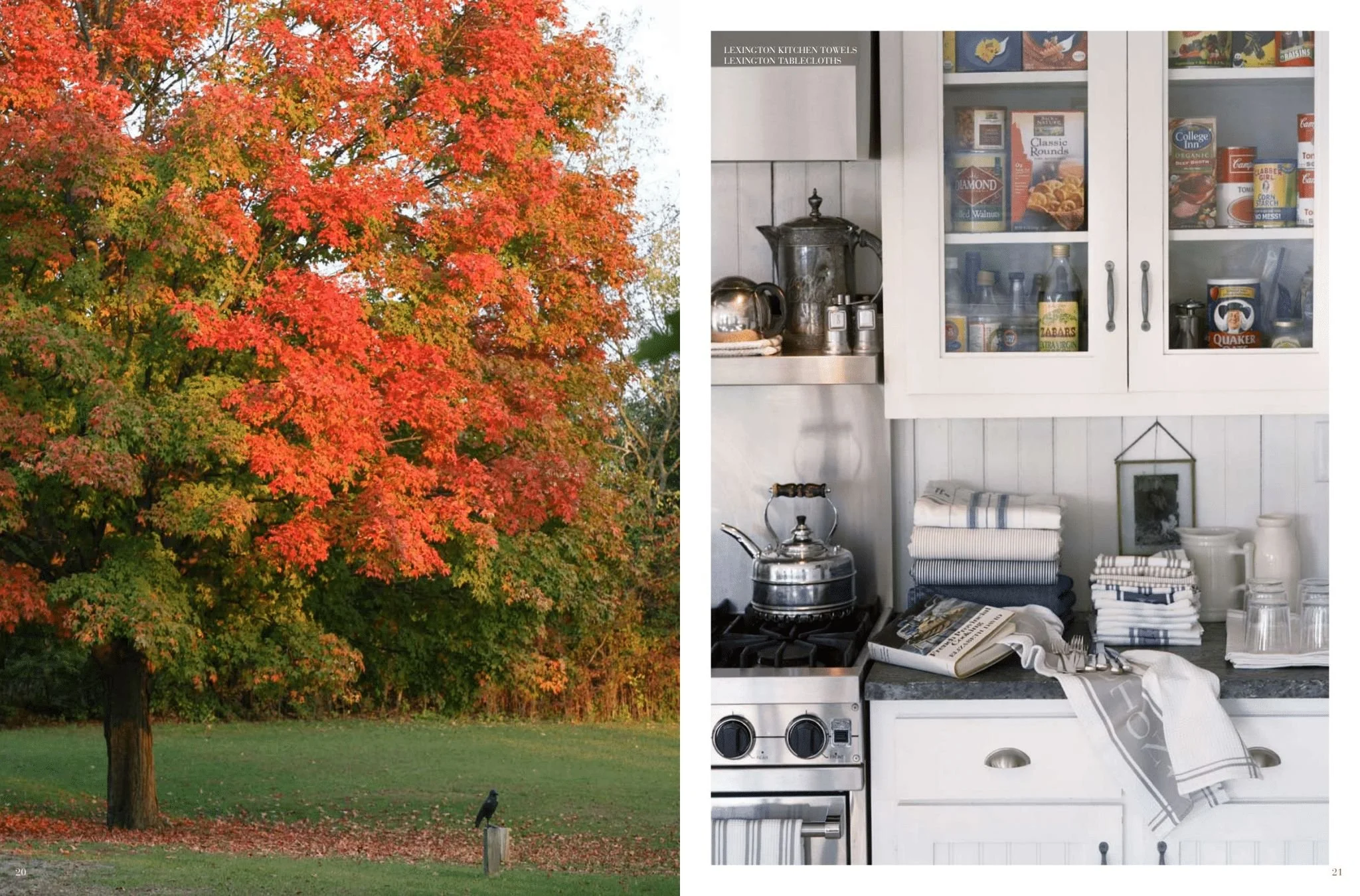 Lexington Fall 08 (Page 11).jpg