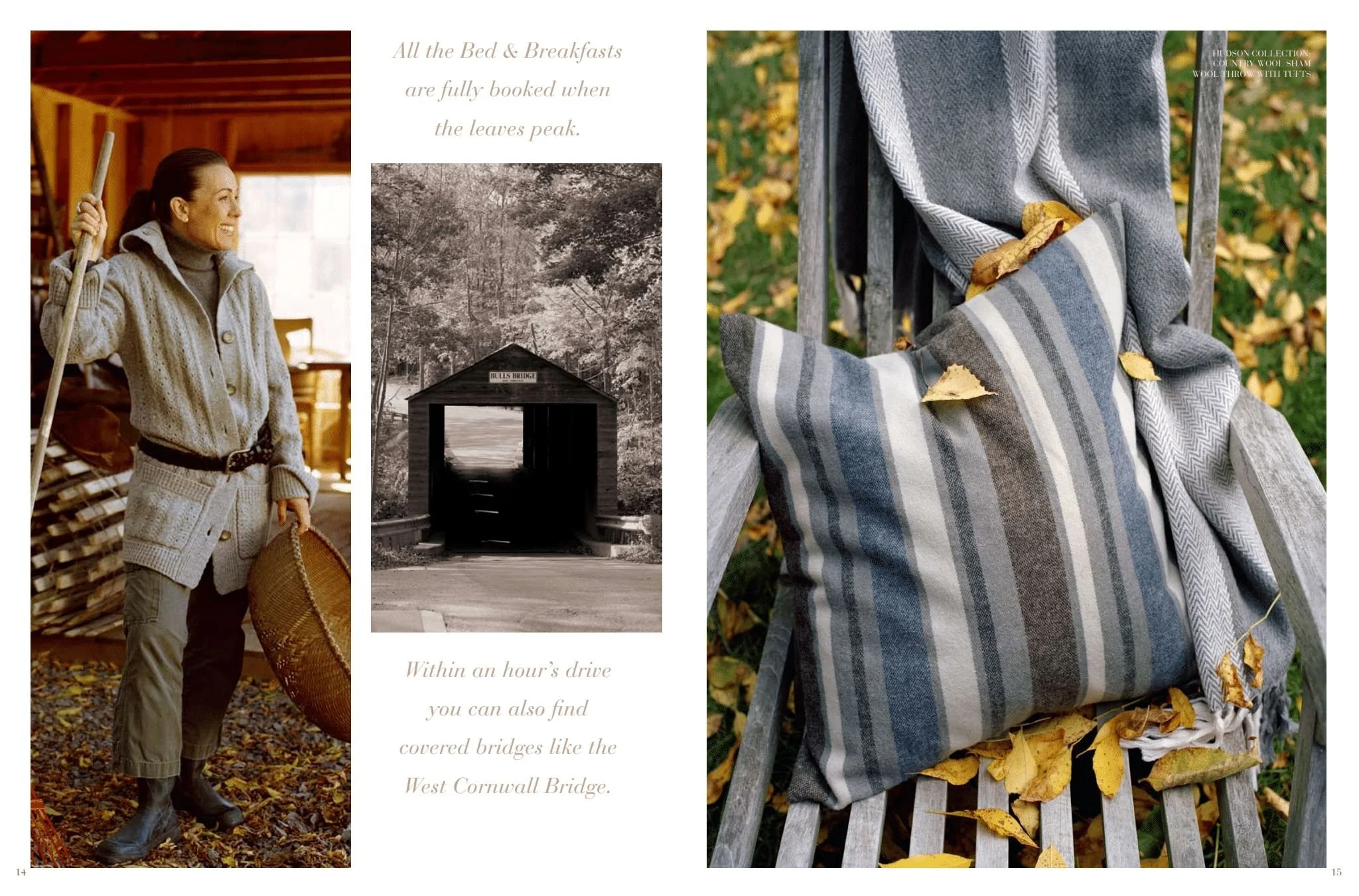 Lexington Fall 08 (Page 8).jpg